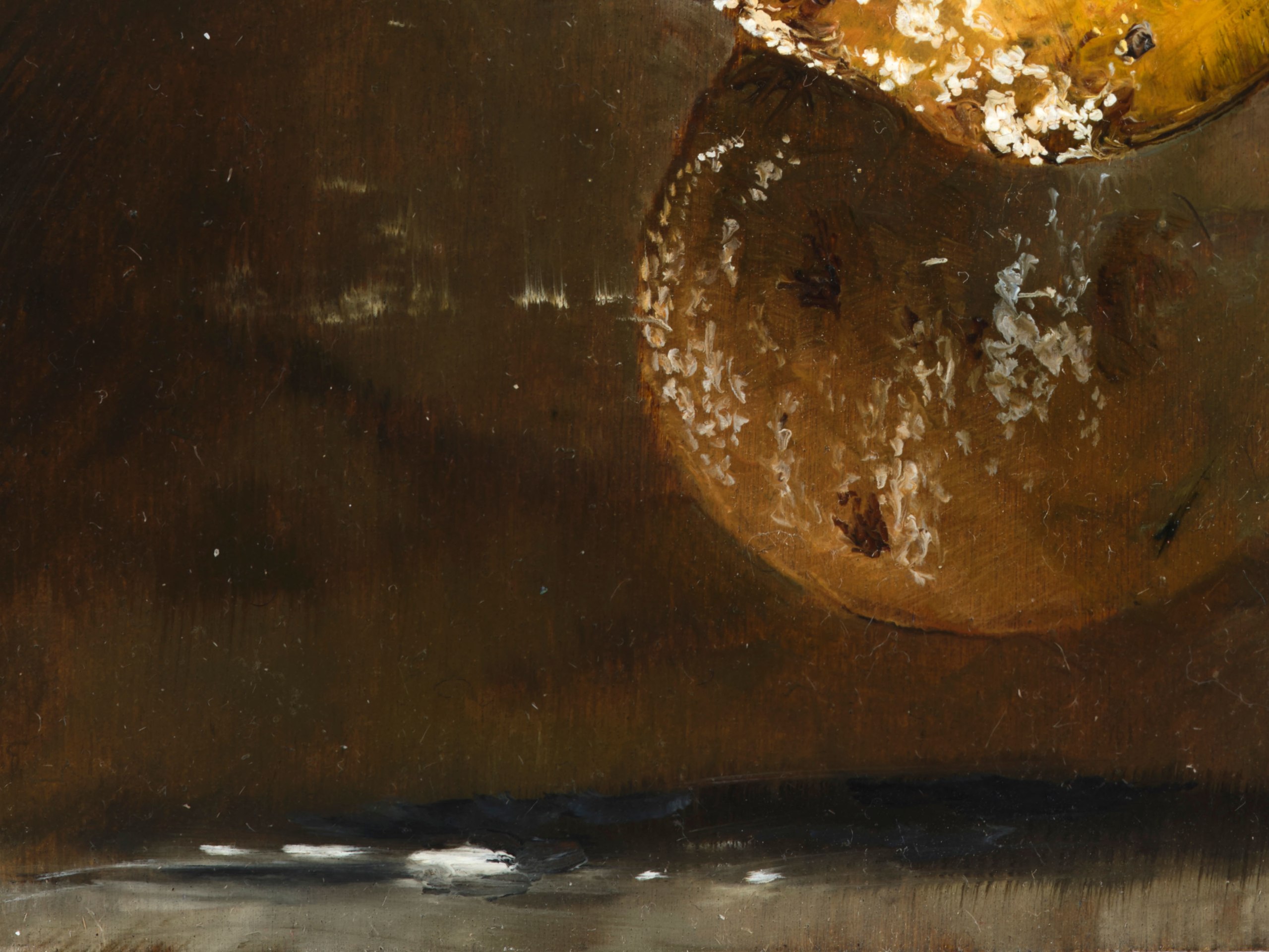 Karol Palczak, Gnijące jabłko na szybie, 2024