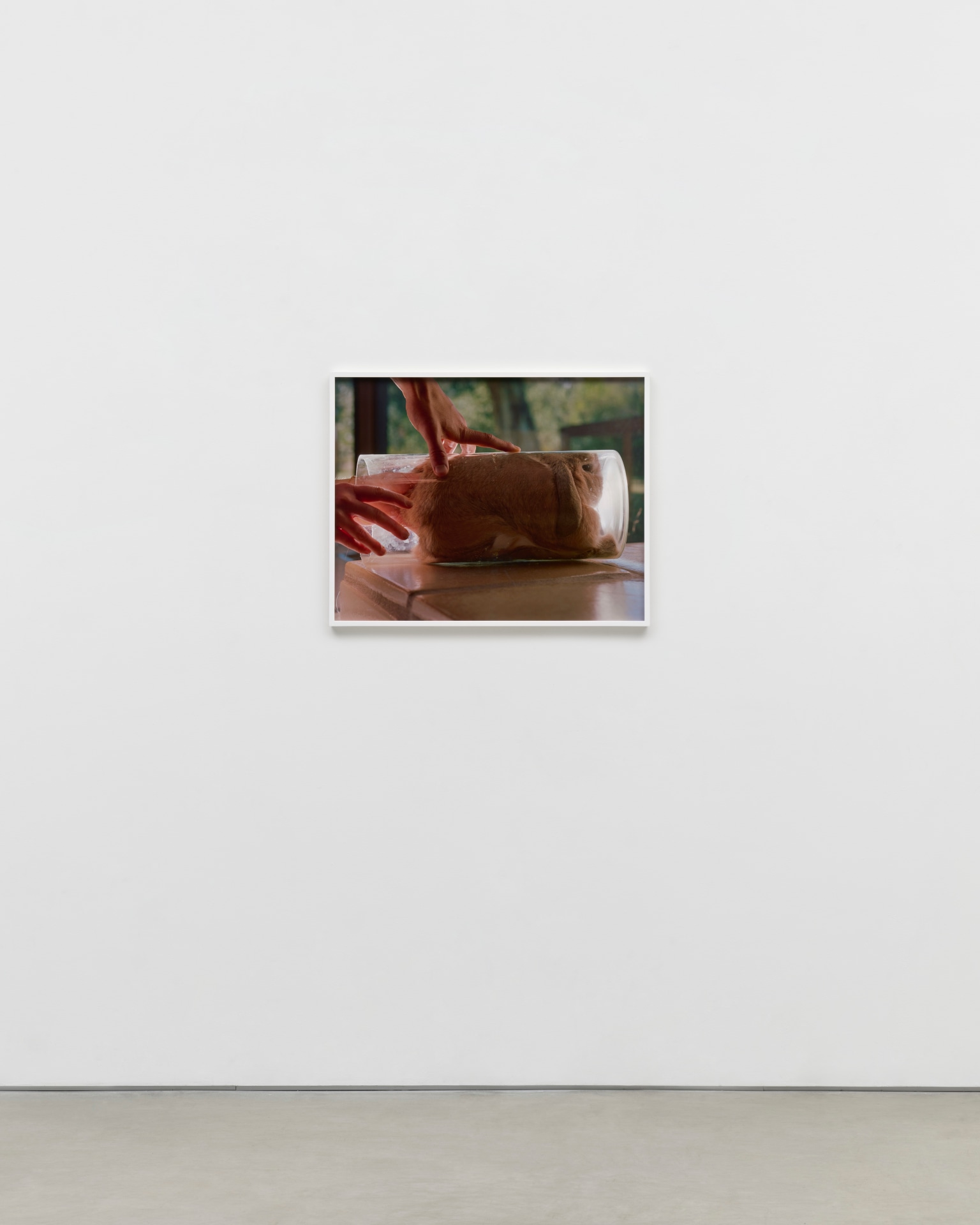 Torbj&oslash;rn R&oslash;dland, Rabbit Hole, 2021