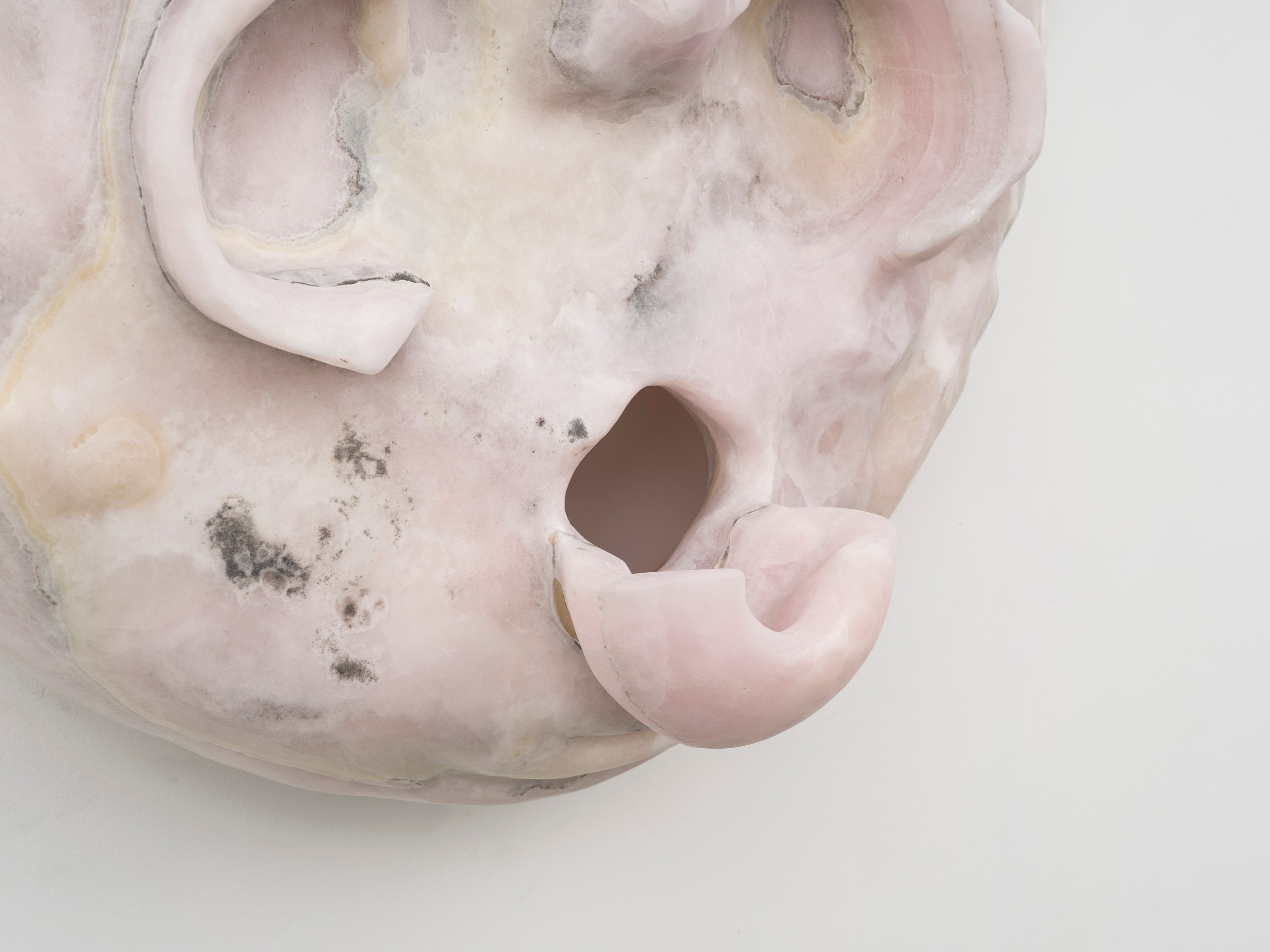 Matthew Lutz-Kinoy, Heaven on Earth rose, 2020