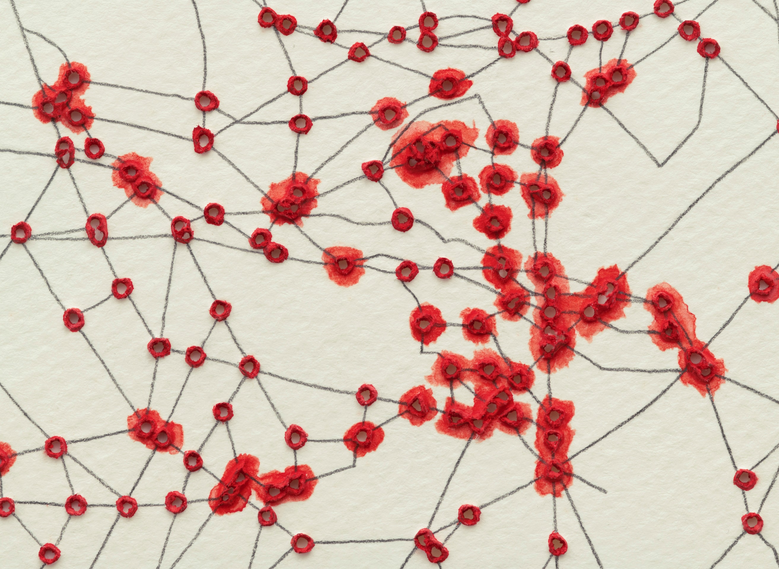 Linda Stark Perforated Web, 2013