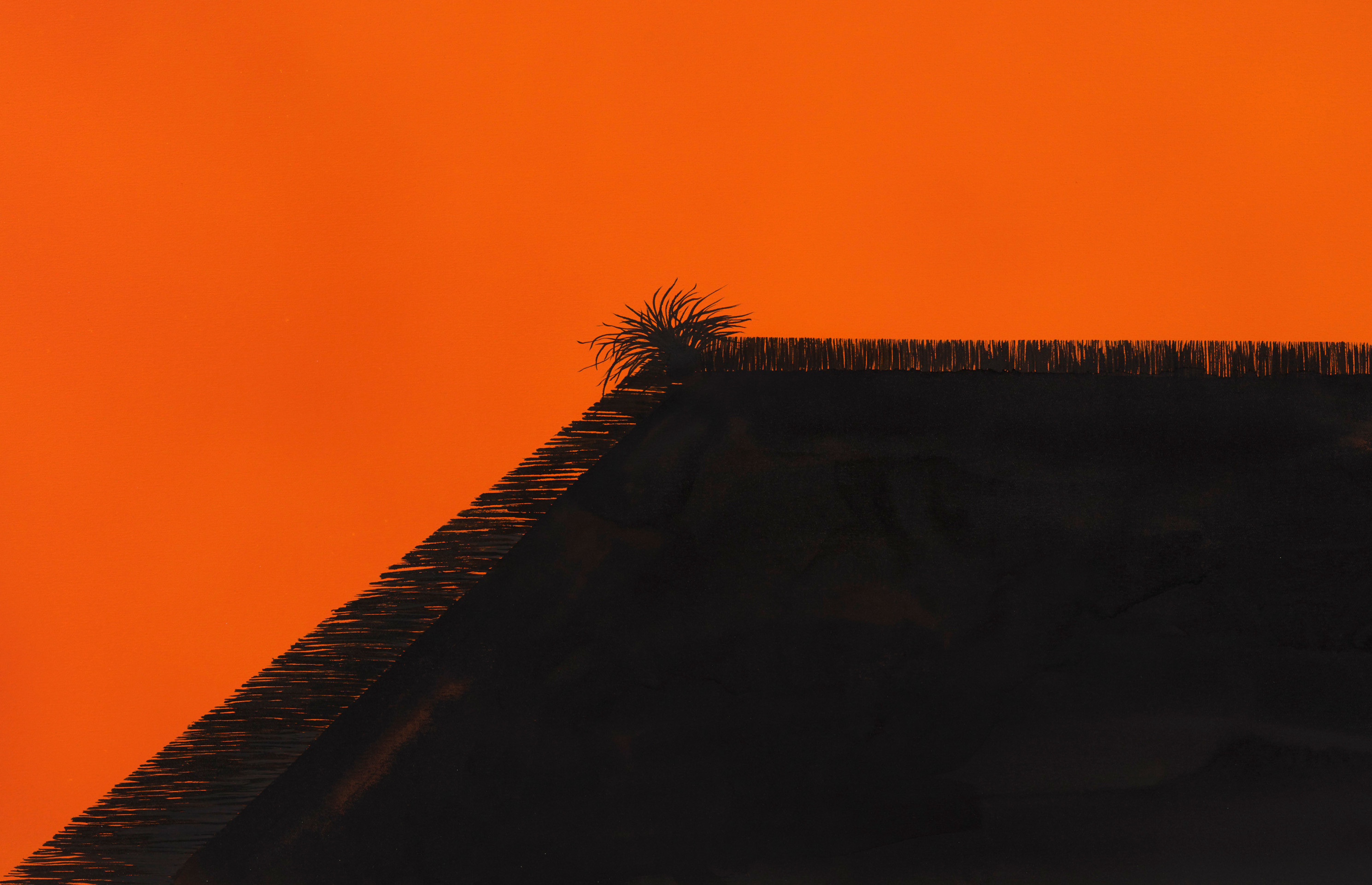 Calvin Marcus Orange Room, 2019