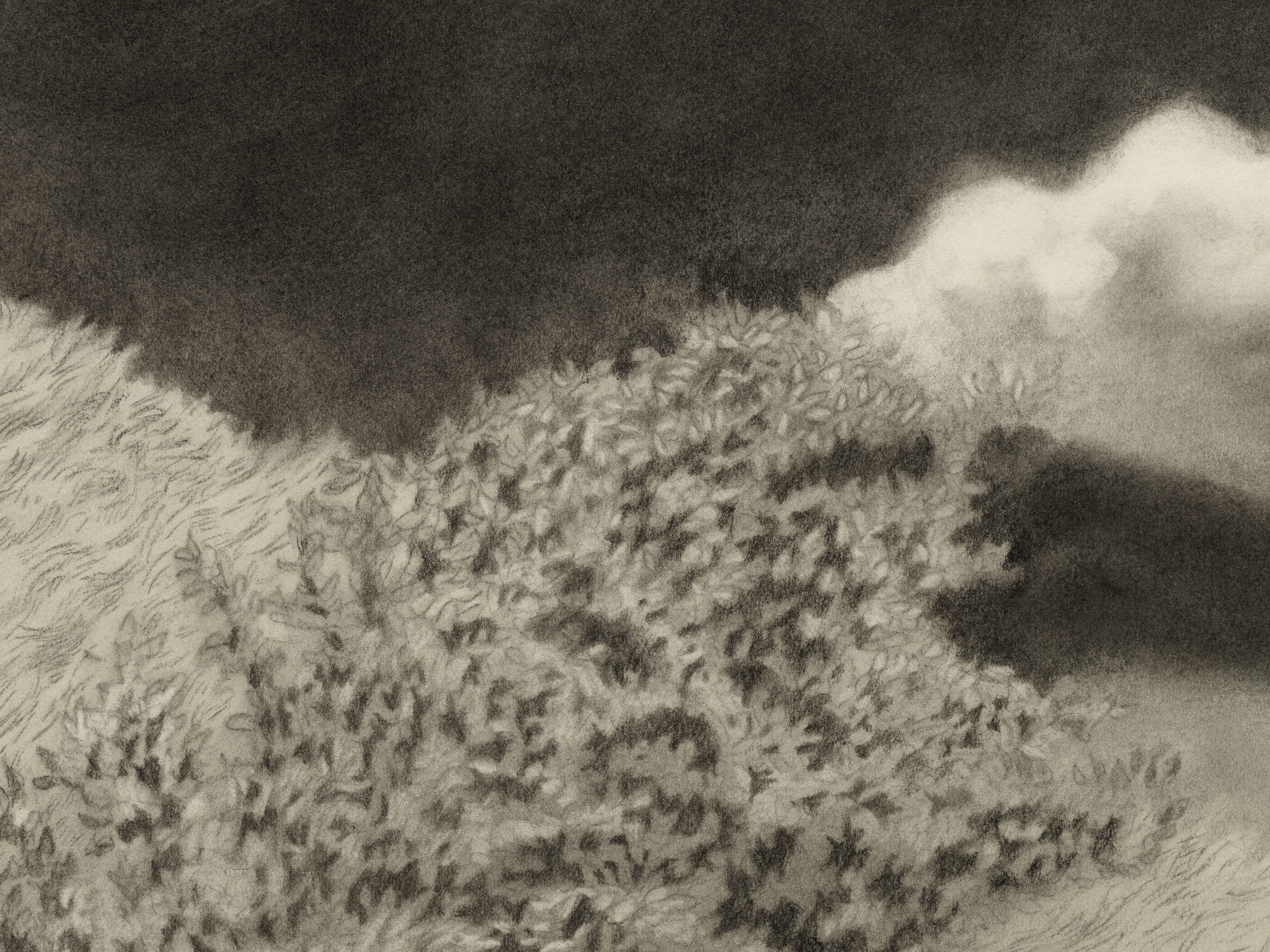 Jared Buckhiester, Untitled, 2025