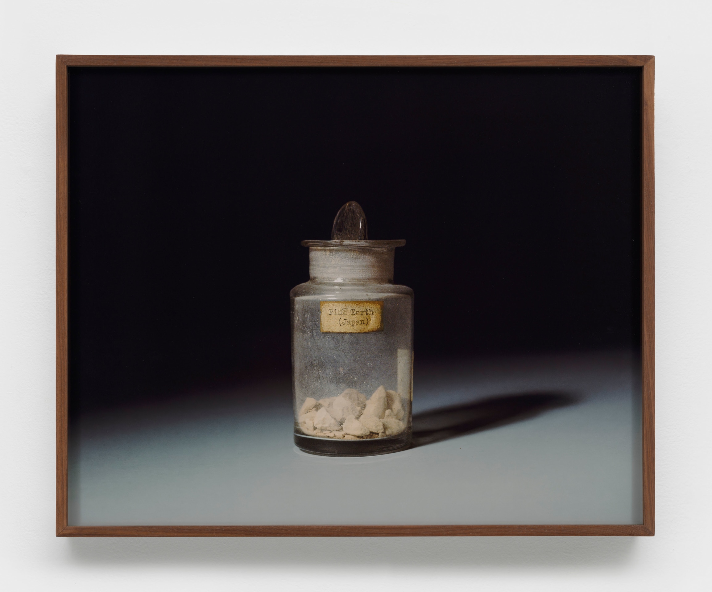 Rose Salane, Pink Earth: Japan, 2025