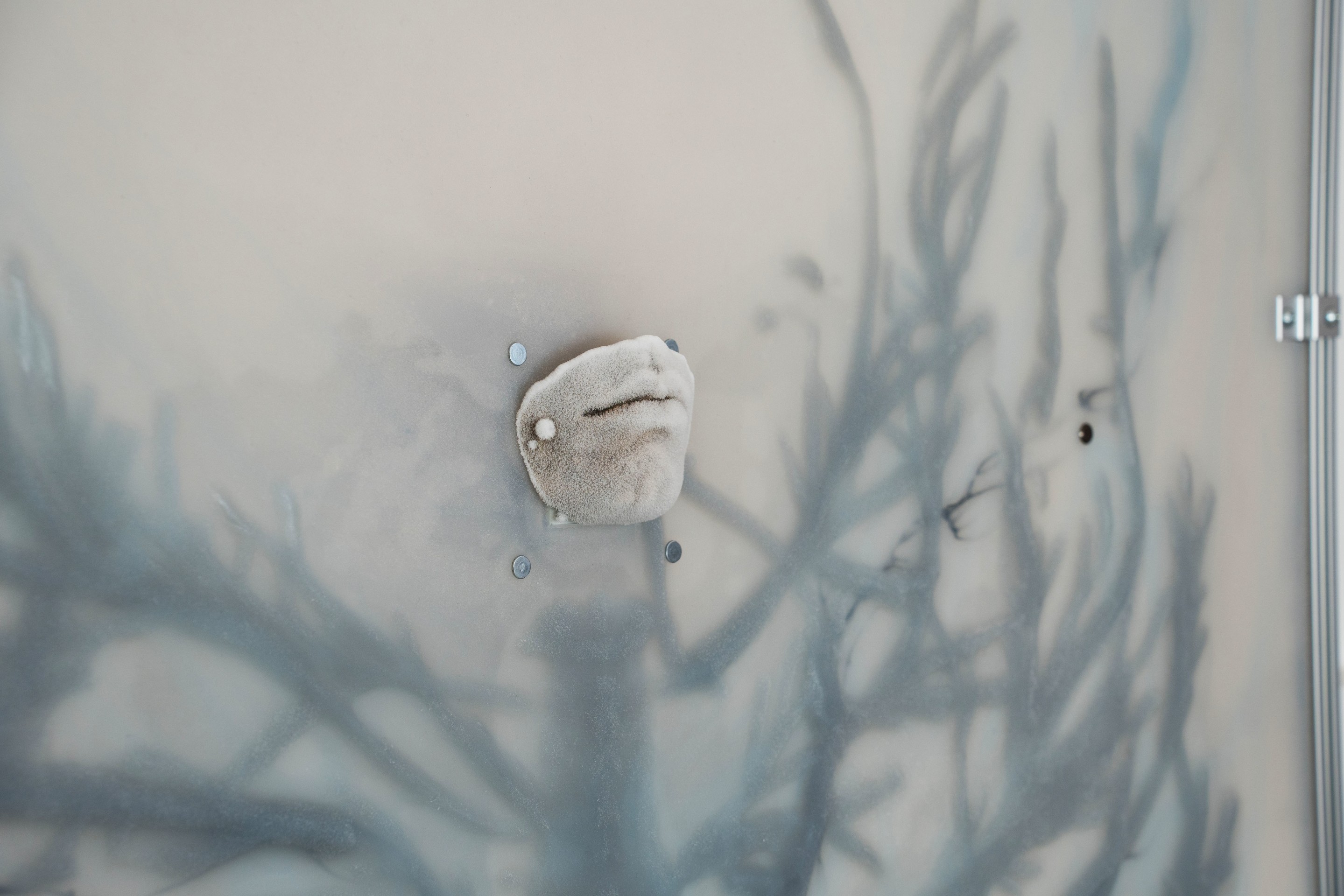 Xin Liu, Overgrowth, 2025