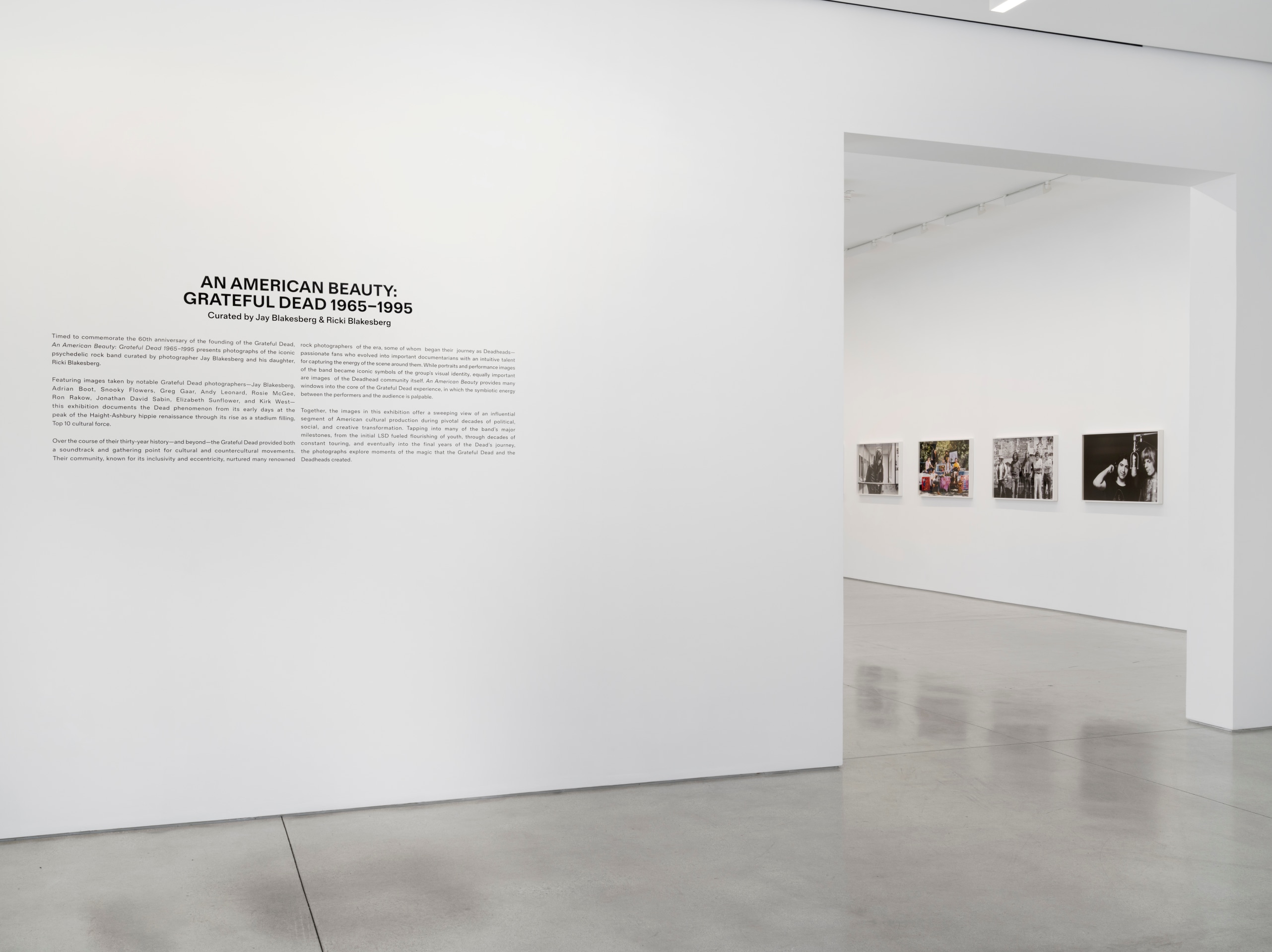 An American Beauty: Grateful Dead 1965&ndash;1995