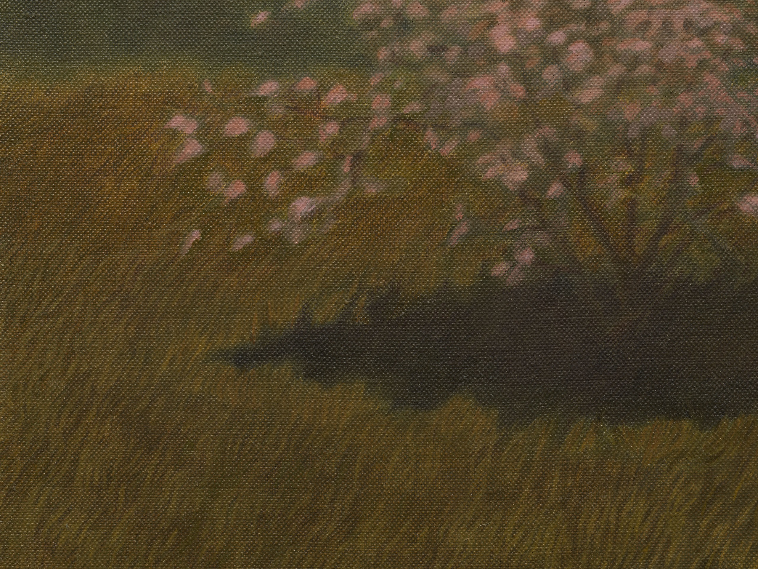 Jared Buckhiester, How is a body to know what&rsquo;s coming, 2024