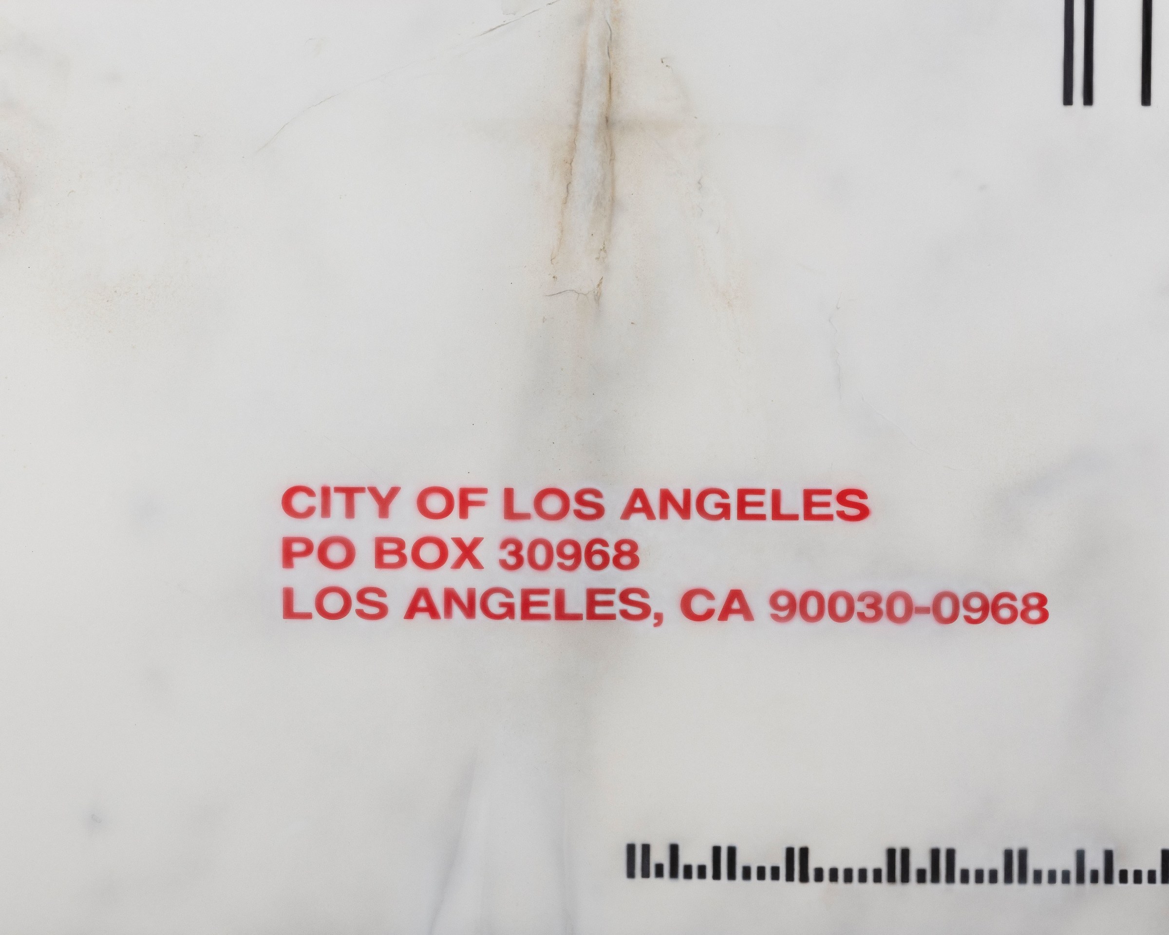 Mario Ayala, Citation, 2023