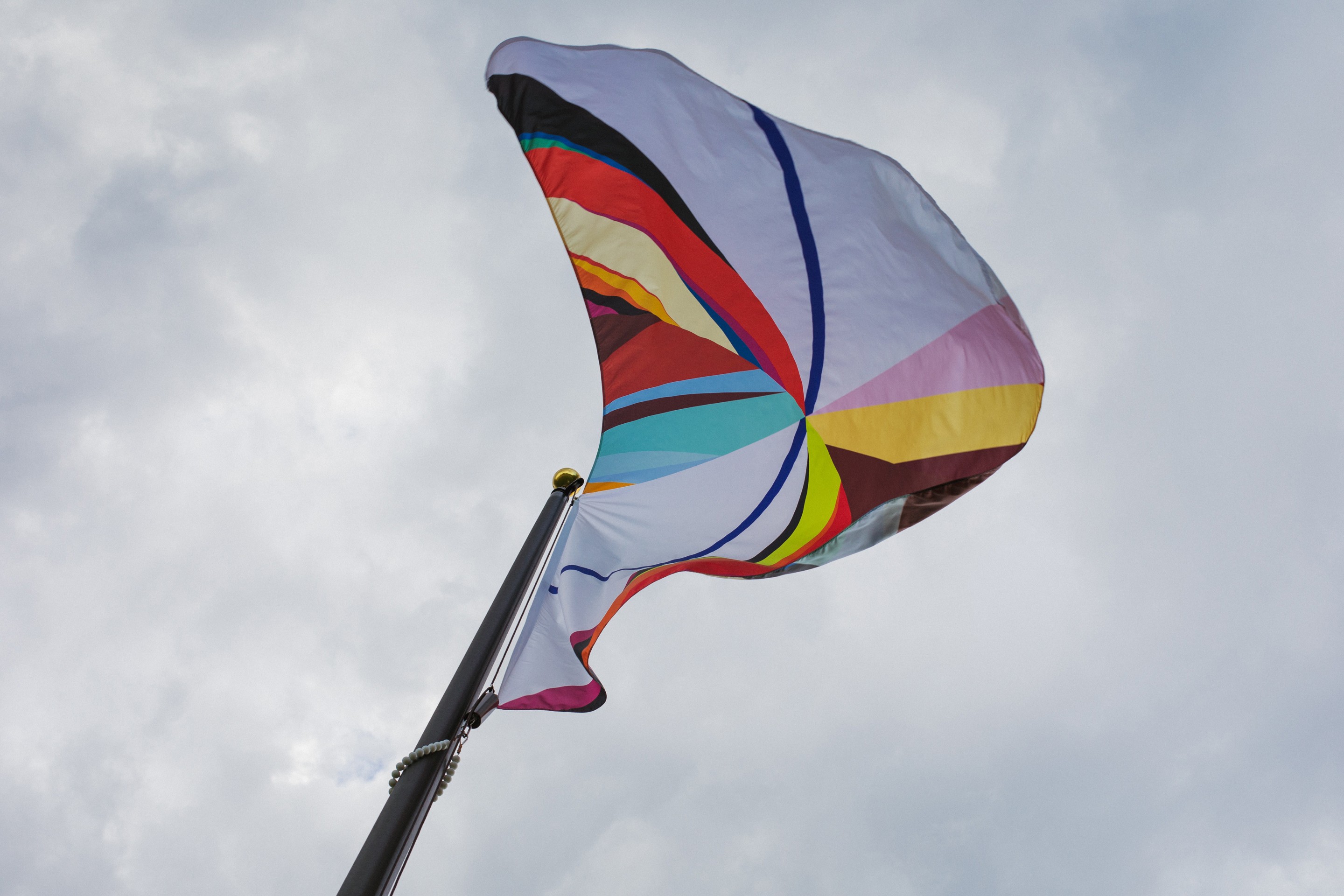 Odili Donald Odita