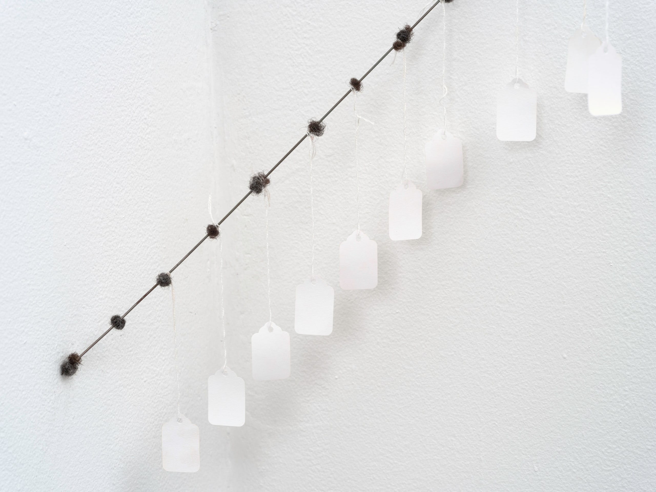 Clifford Owens, (Hair and Wire, Venice Beach &amp;amp; Tag Sale), 2016