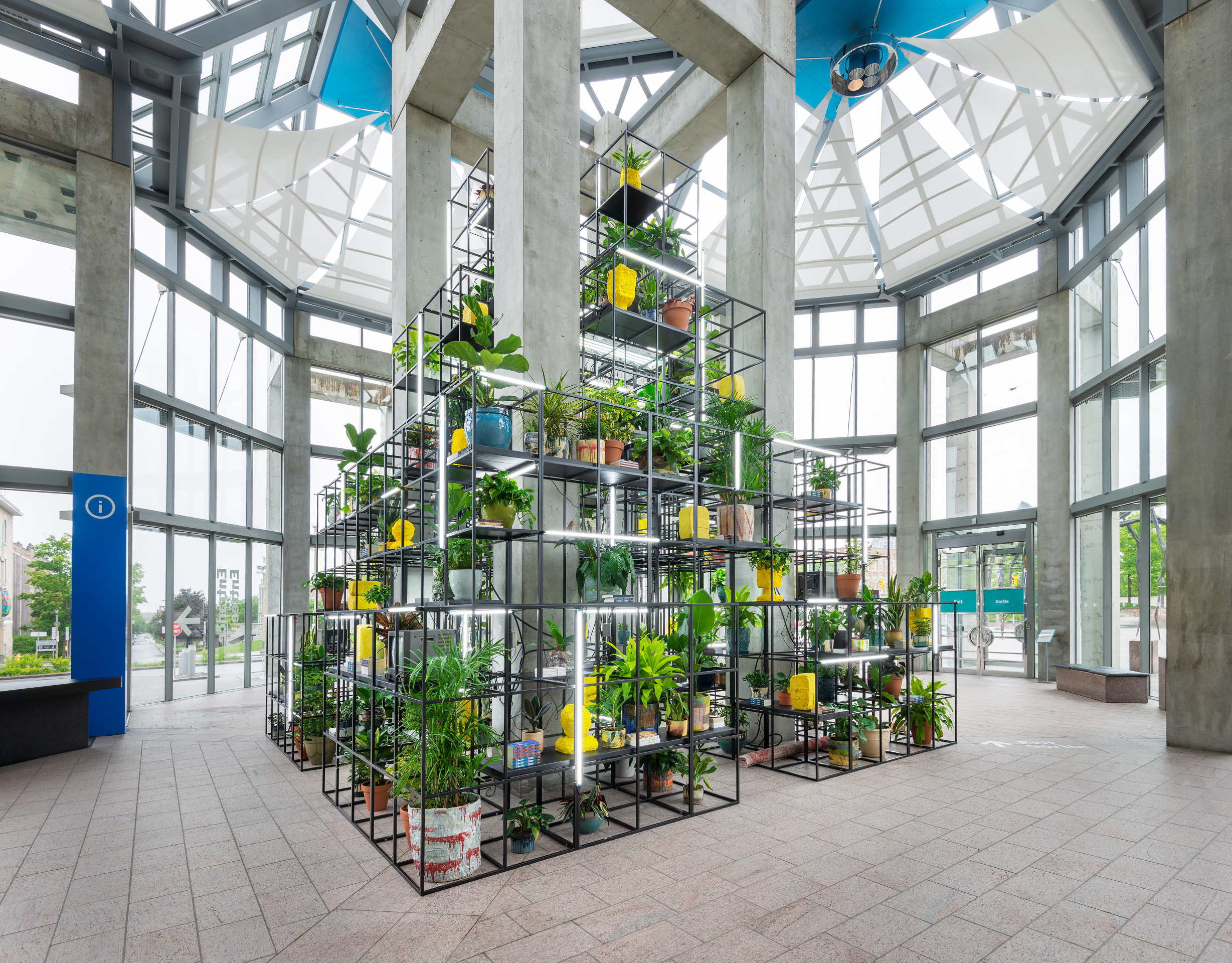 Rashid Johnson