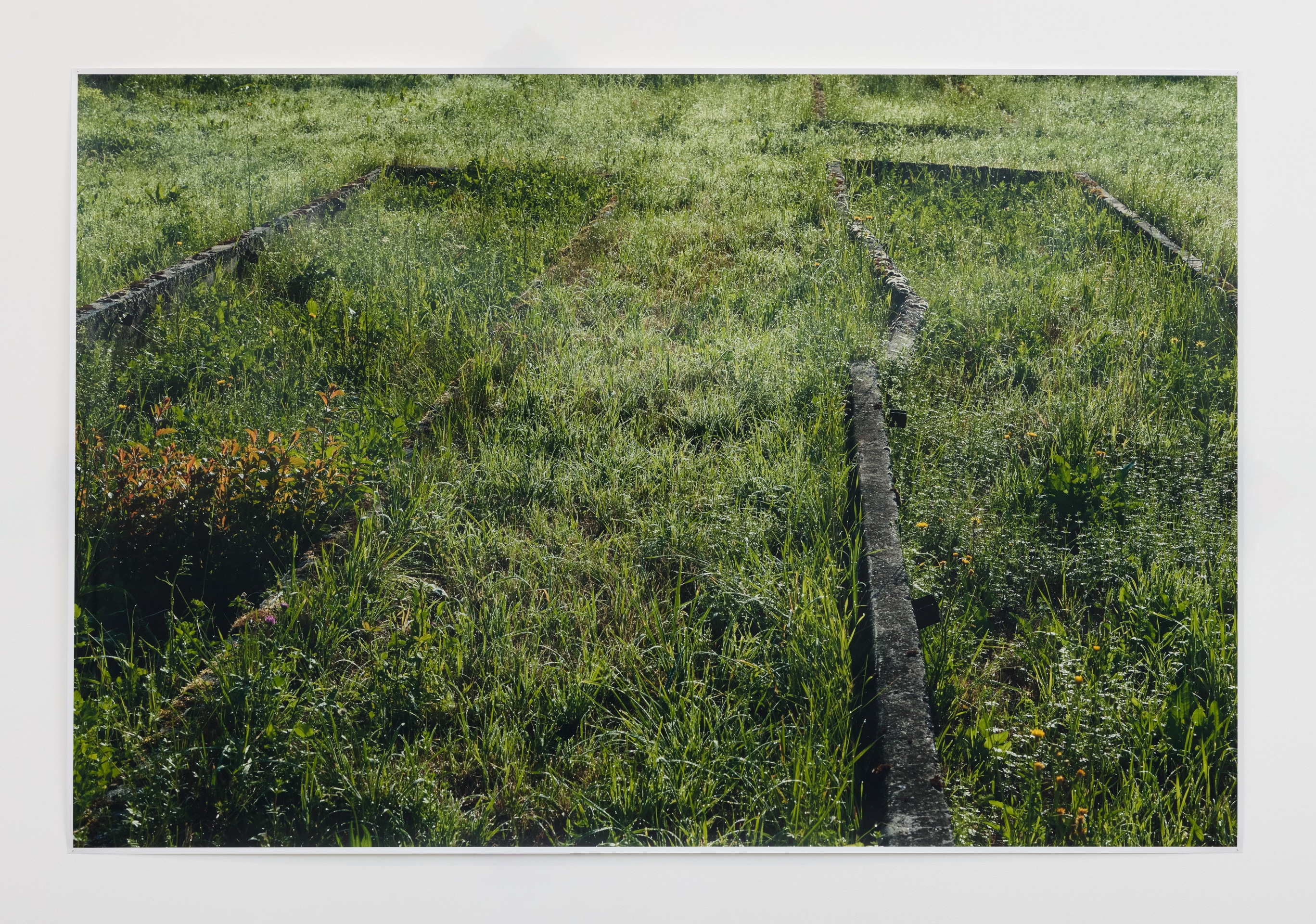 Andrea B&uuml;ttner, Former plant beds from the plantation and &quot;herb gardens,&quot; used by the Nazis for biodynamic agricultural research, at the Dachau Concentration Camp, 2019 - 2020