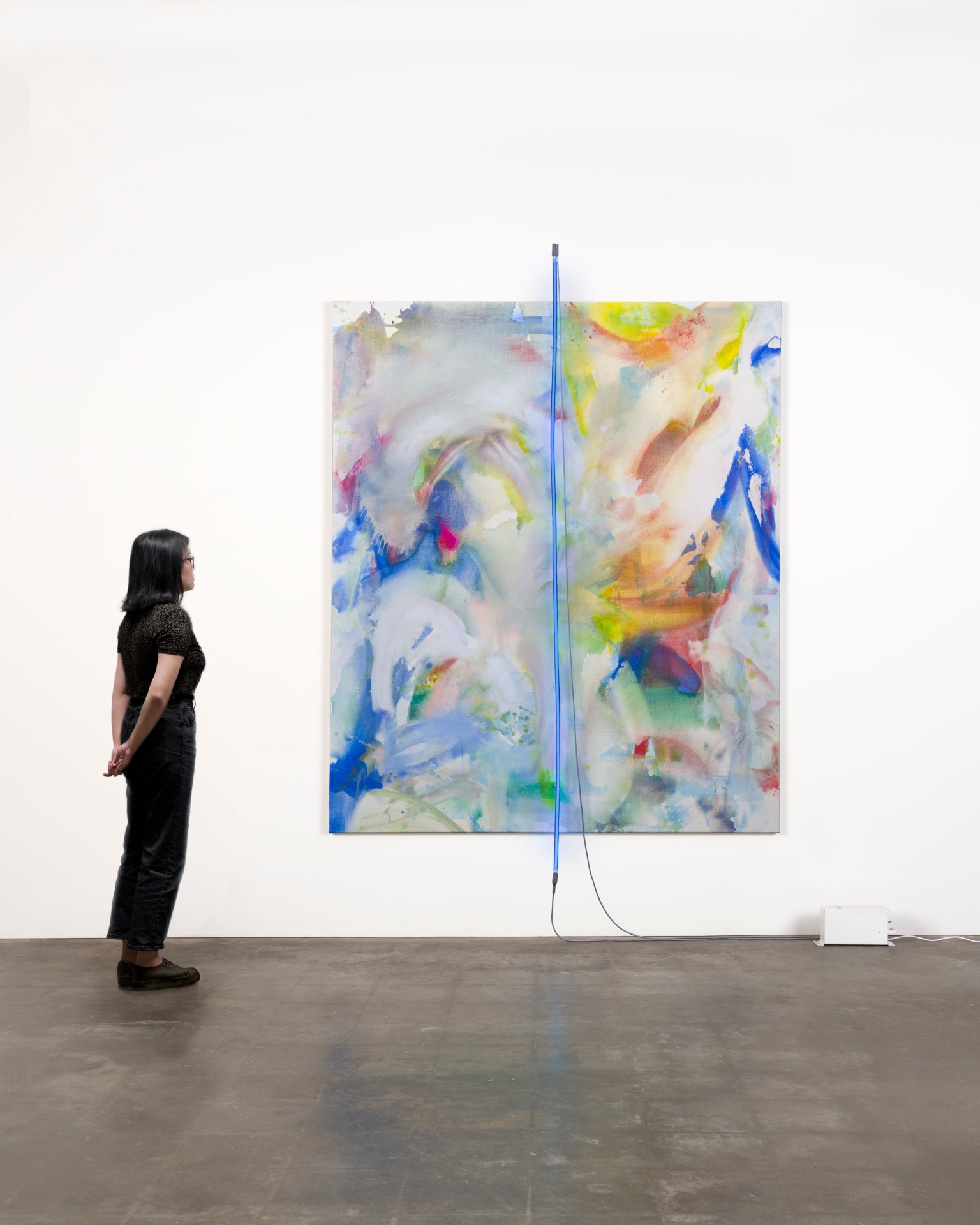 Mary Weatherford, The Birds of Kīlauea Point, 2021