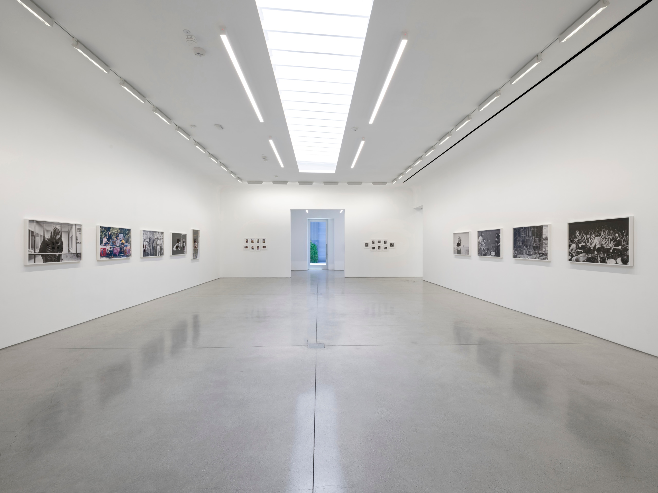 An American Beauty: Grateful Dead 1965&ndash;1995