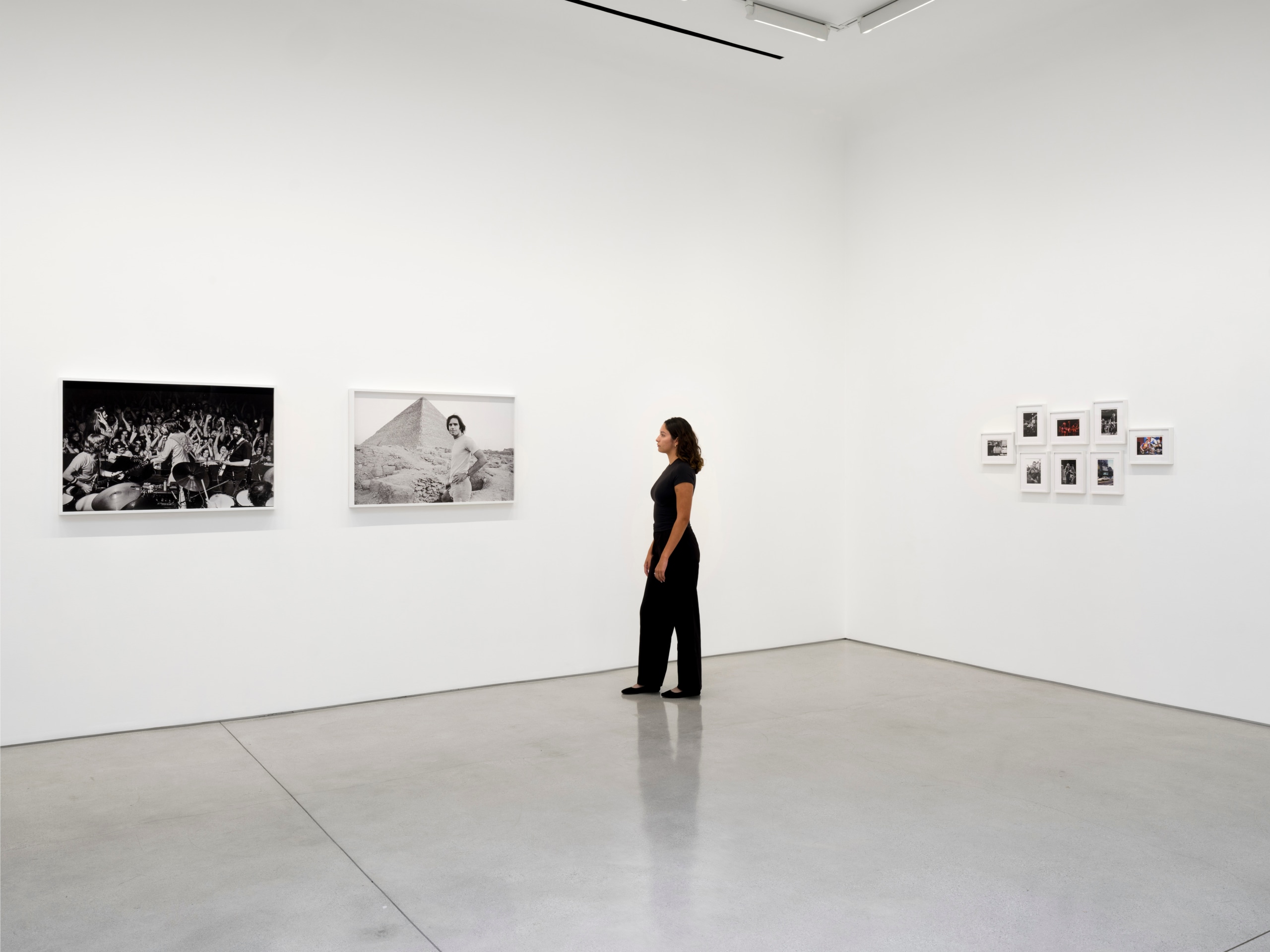 An American Beauty: Grateful Dead 1965&ndash;1995