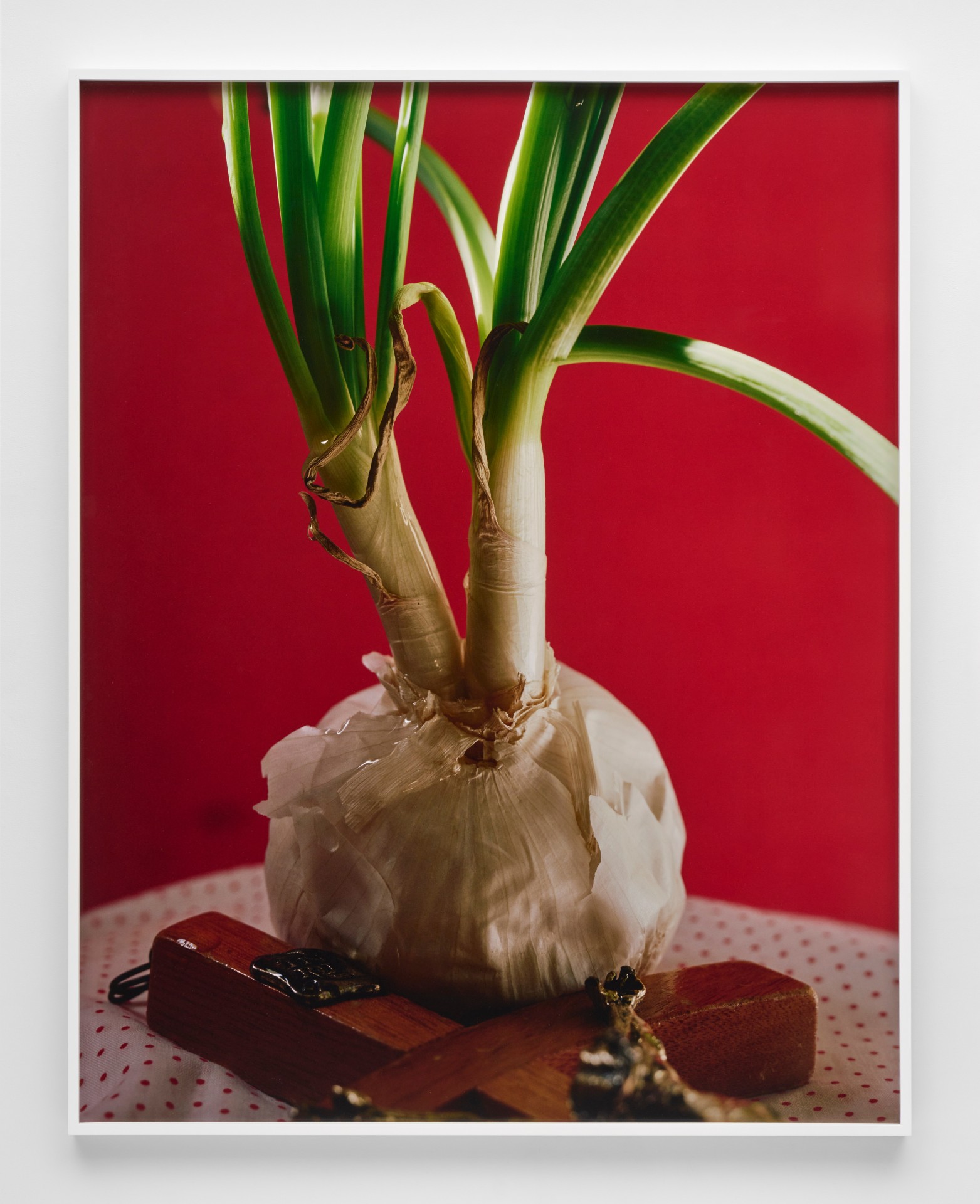Torbj&oslash;rn R&oslash;dland, Sprouting Onion, 2021