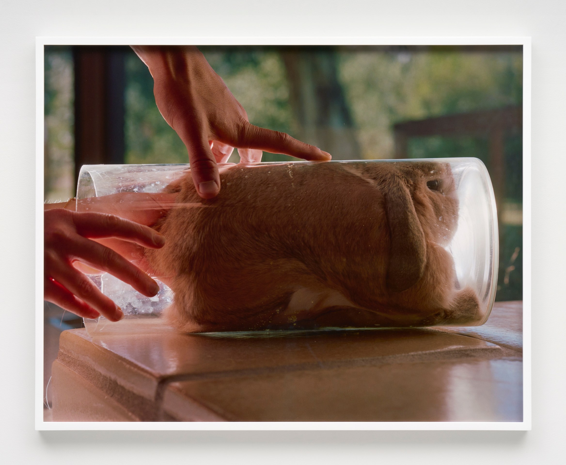 Torbj&oslash;rn R&oslash;dland, Rabbit Hole, 2021