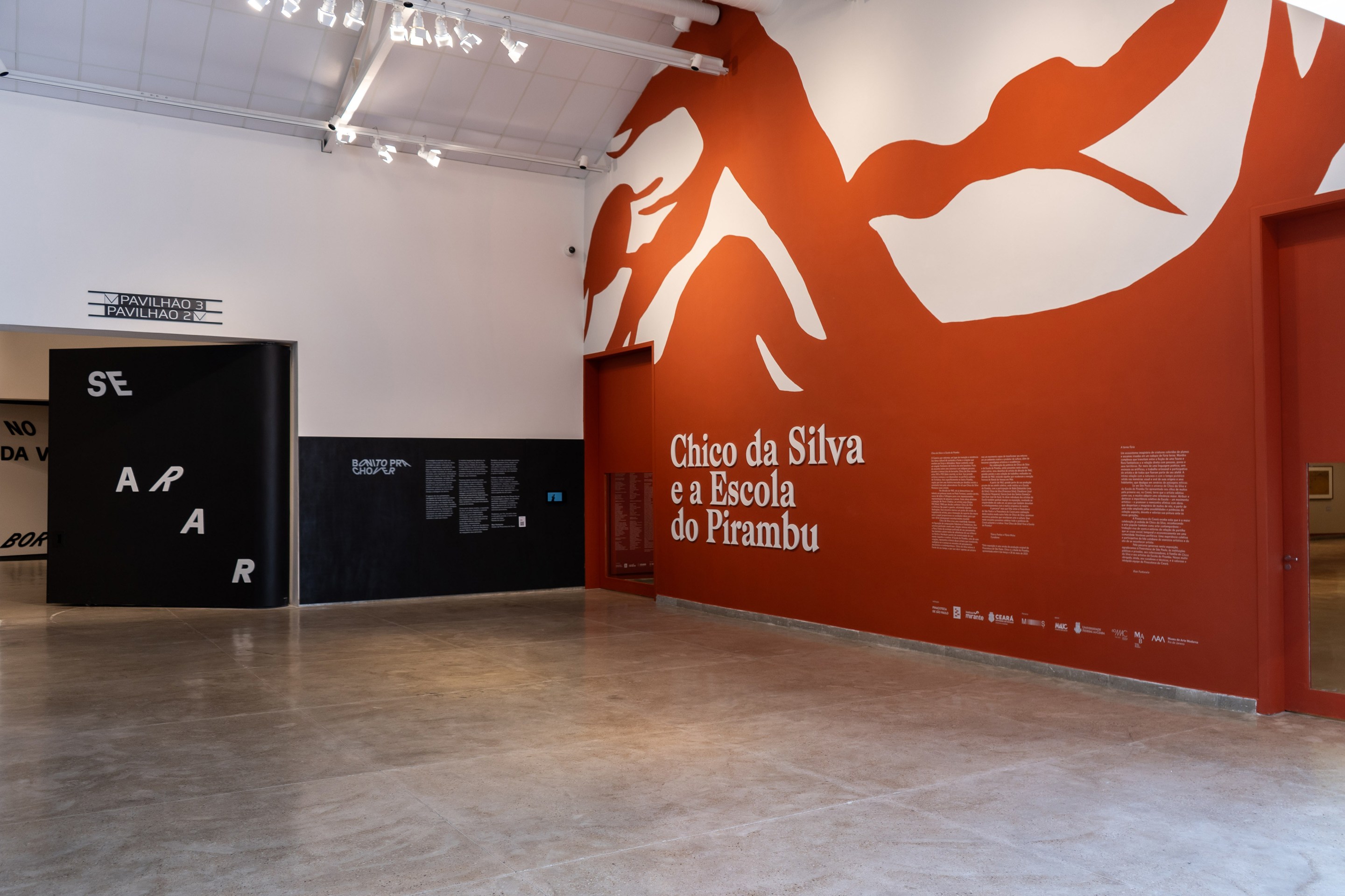 Chico da Silva
