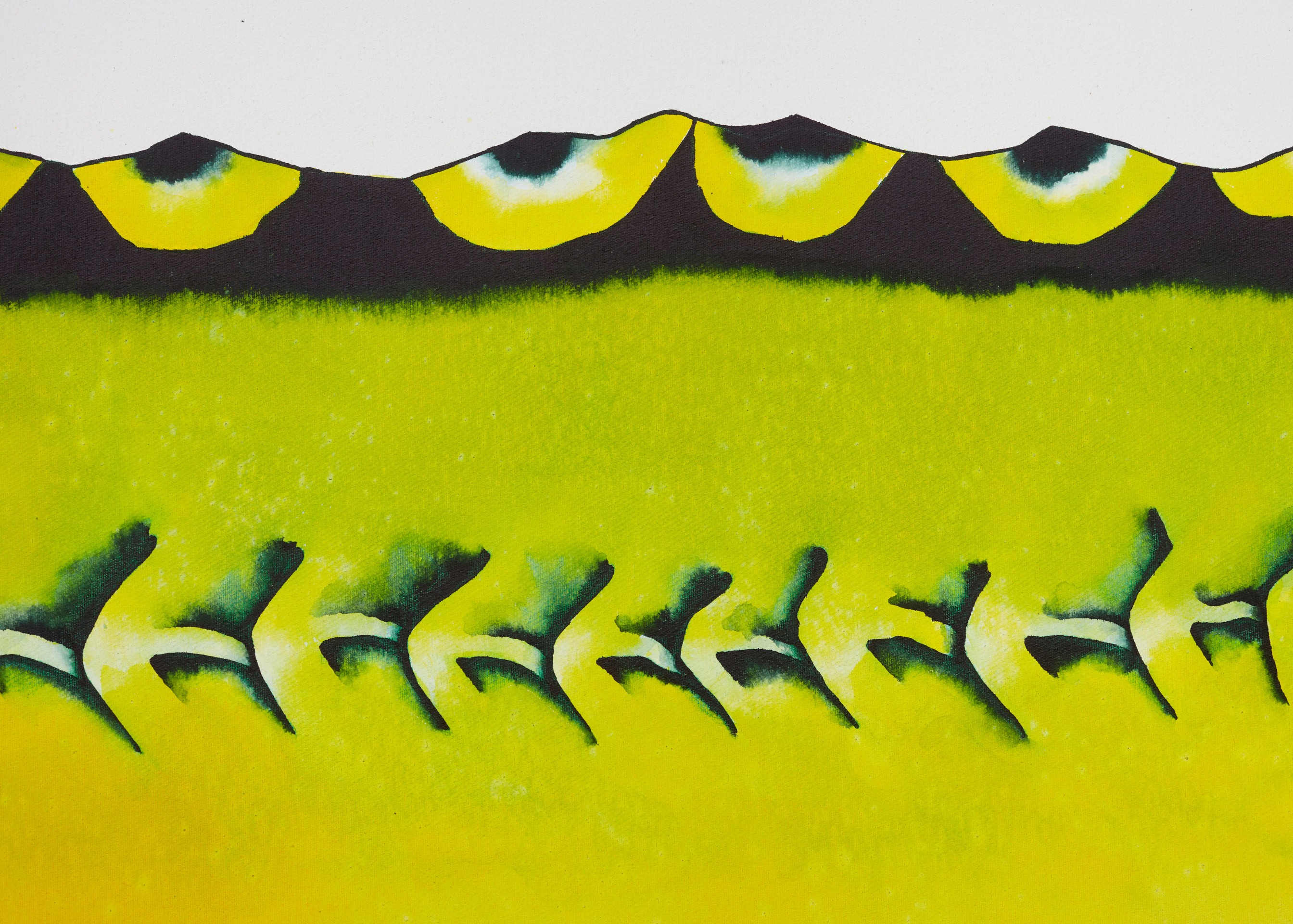 Calvin Marcus Stretch Sturgeon, 2019