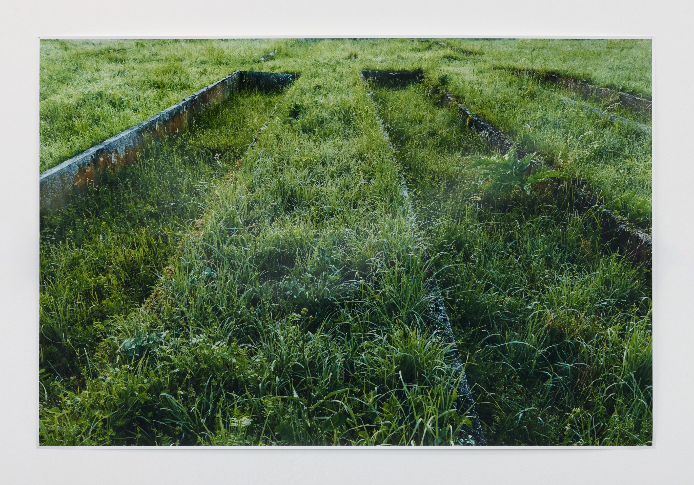 Andrea B&uuml;ttner, Former plant beds from the plantation and &quot;herb gardens,&quot; used by the Nazis for biodynamic agricultural research, at the Dachau Concentration Camp, 2019 - 2020
