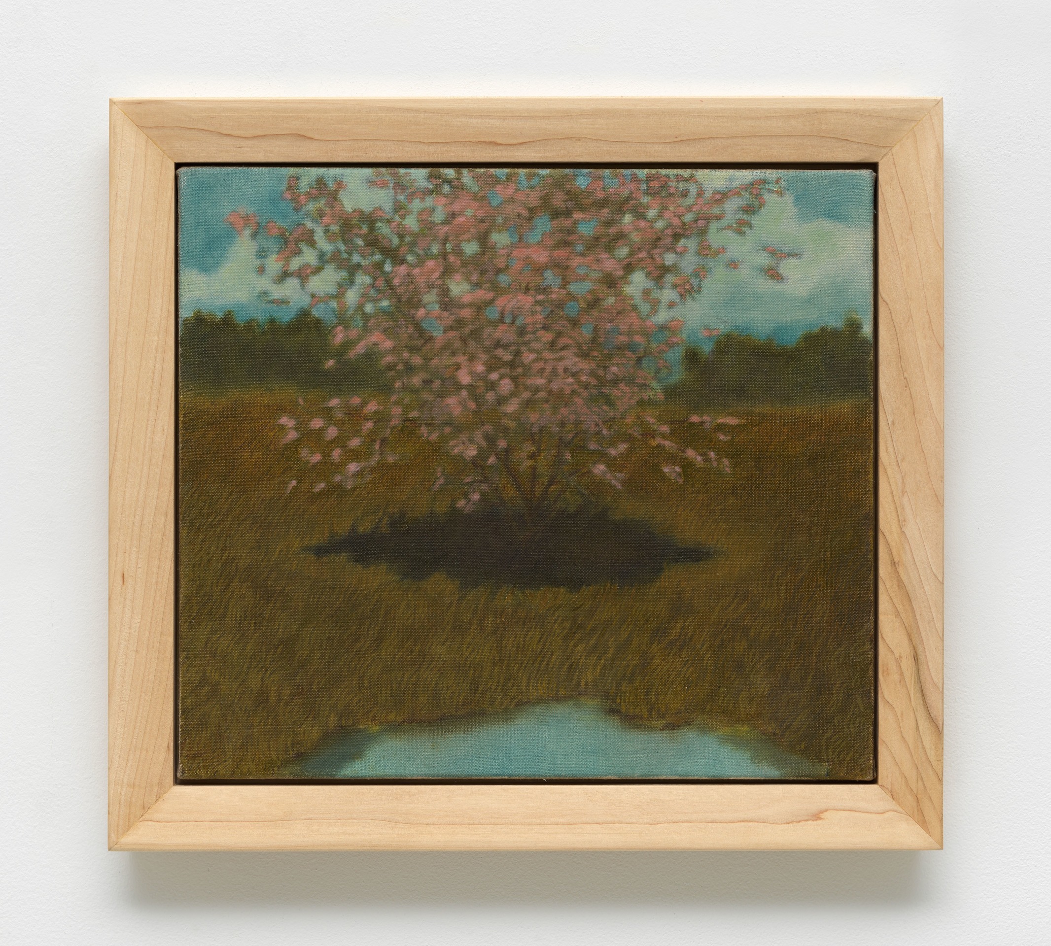 Jared Buckhiester, How is a body to know what&rsquo;s coming, 2024