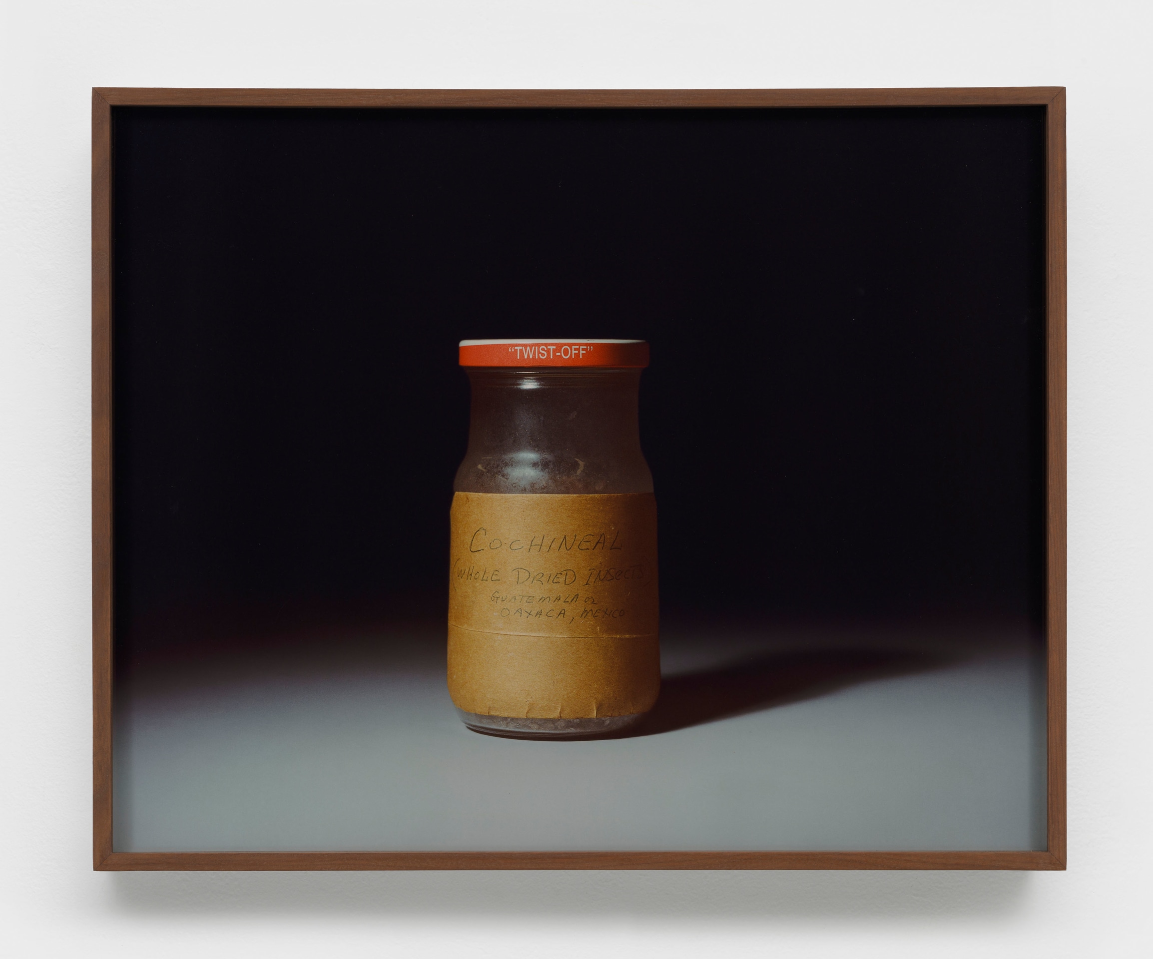 Rose Salane, Cochineal, 2025