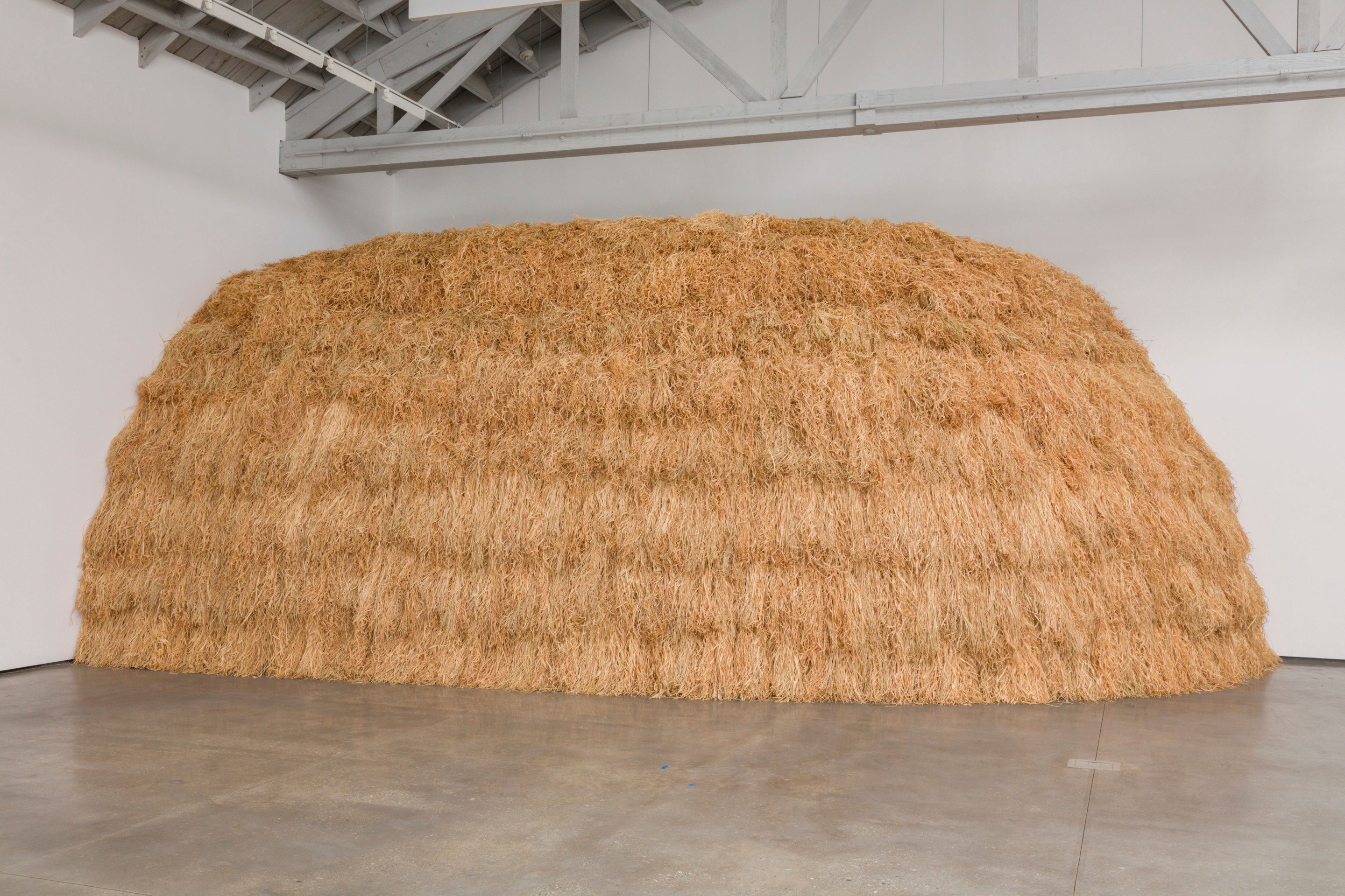 Simone Leigh Cupboard X, 2020