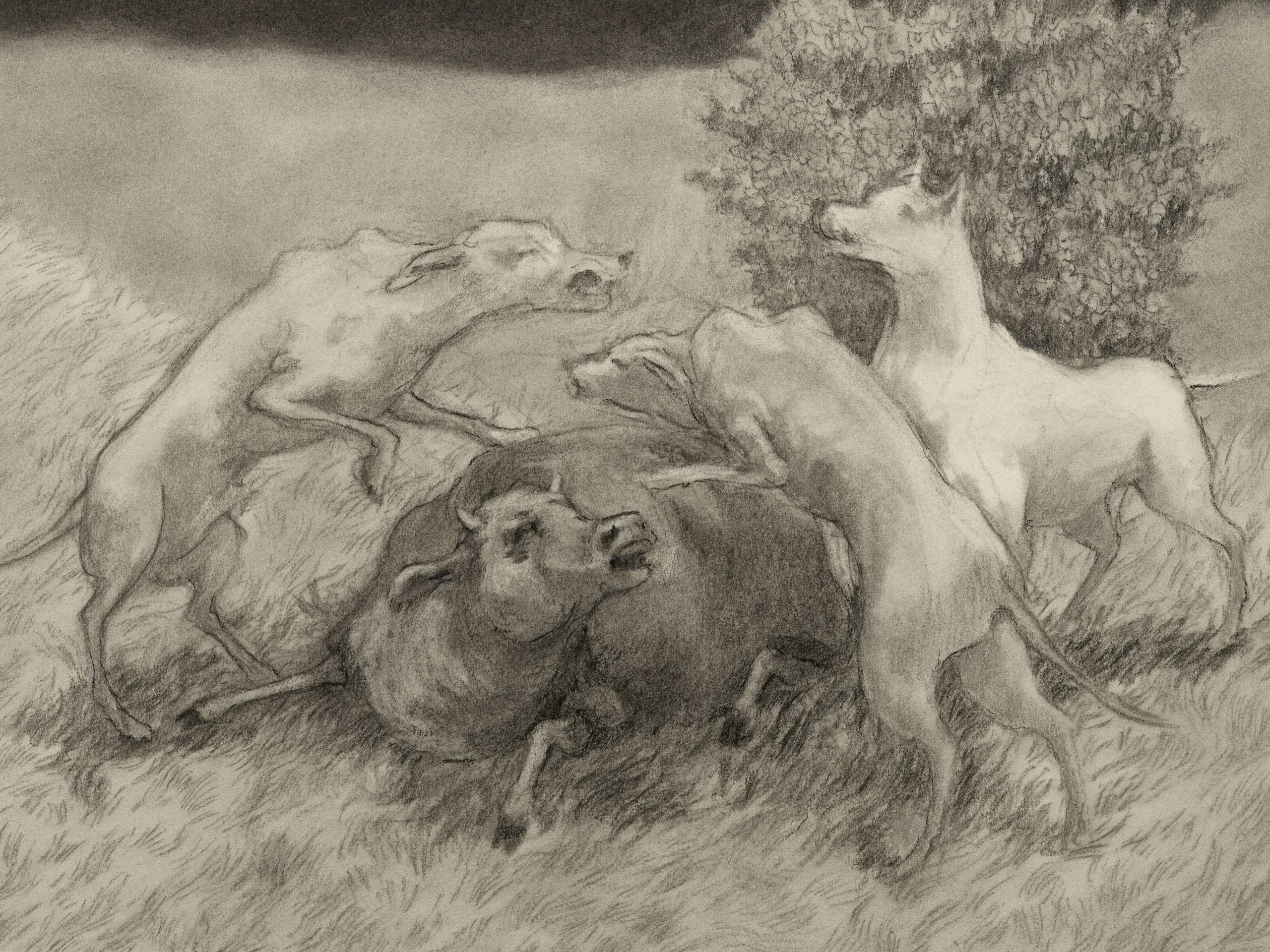 Jared Buckhiester, Untitled, 2025