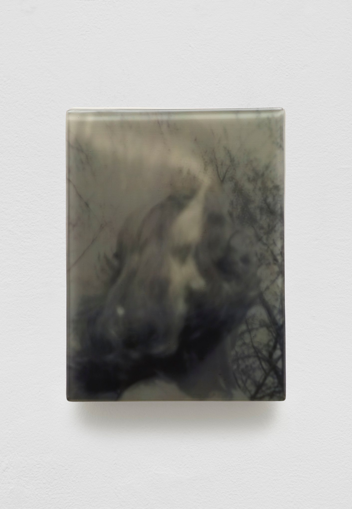 SADIE BENNING,&nbsp;Pain Thing 2,&nbsp;&nbsp;Detail, Sequence 11, Panel 44 (Dolly), 2019, wood, photographic transparencies, aqua resin and resin, 53 panels/16 sequences, each: 9 3&frasl;4 by 7 1&frasl;4 in. 24.8 by 18.4 cm.