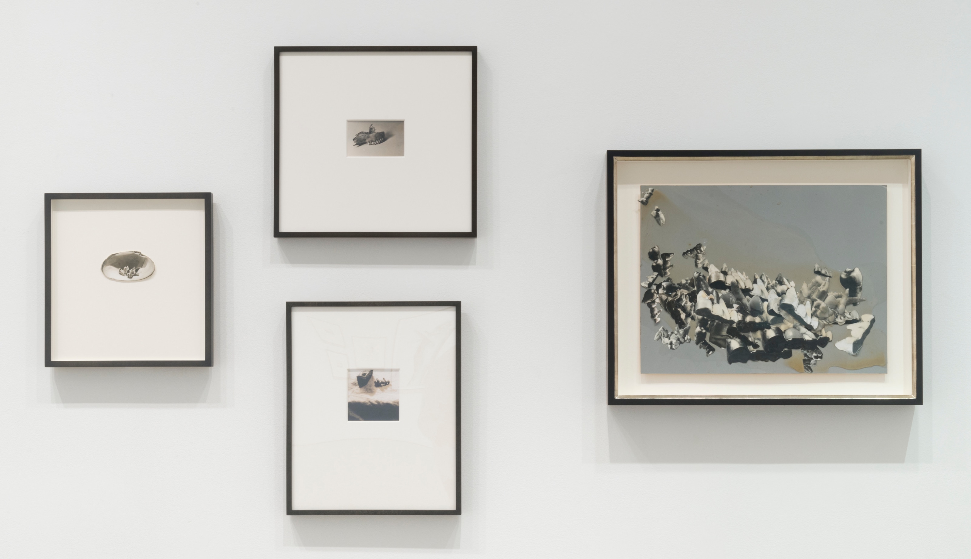 JAY DEFEO