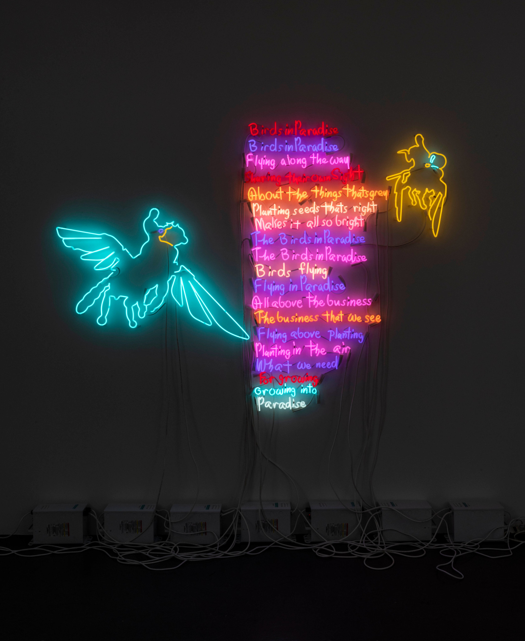 JACOLBY SATTERWHITE Flying Negro 2021