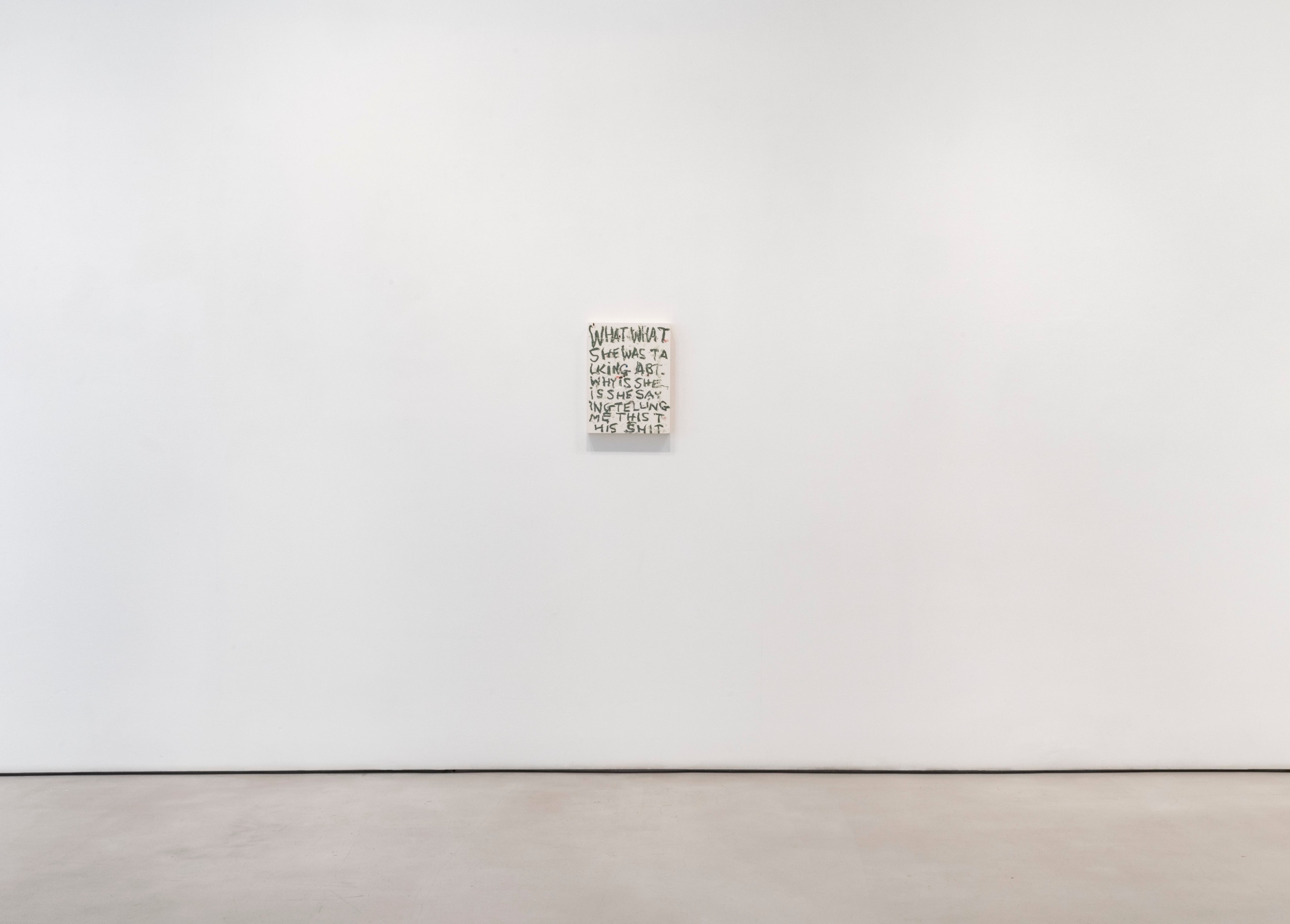 POPE.L Installation view of Four Panels at Mitchell-Innes & Nash, New York, 2021