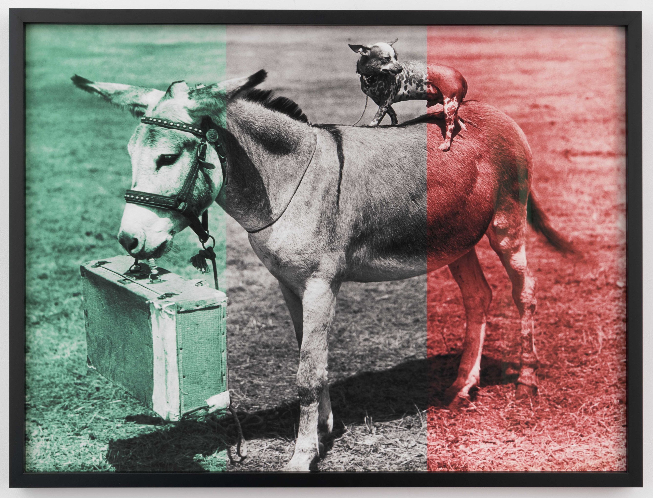 ANNETTE LEMIEUX  Travel Tips, South 2022