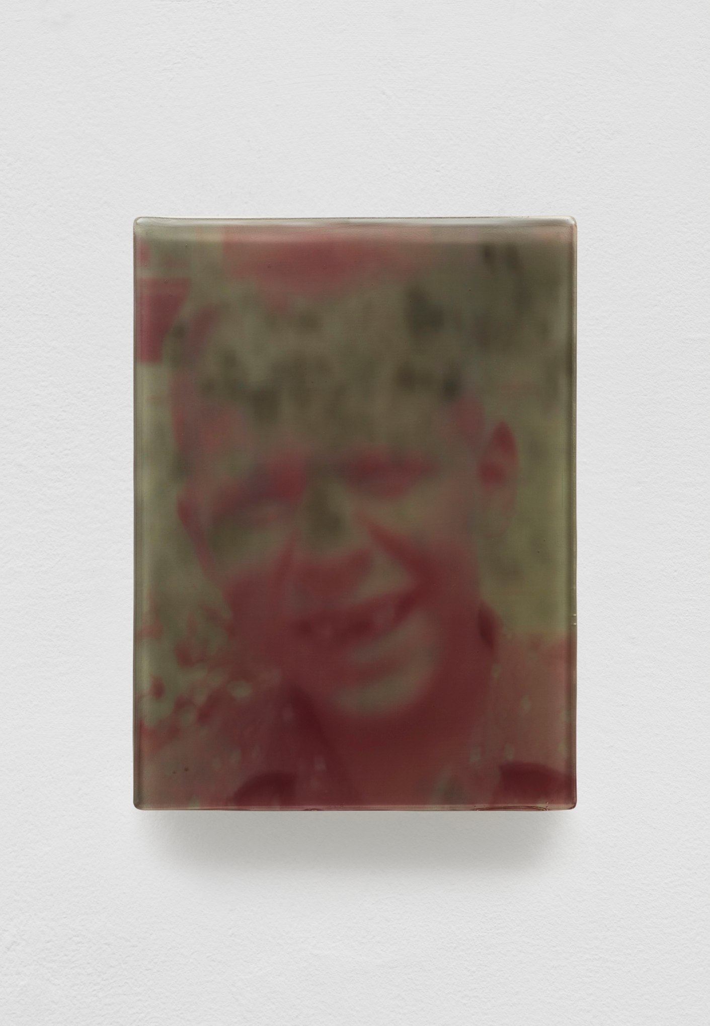 SADIE BENNING,&nbsp;Pain Thing 2,&nbsp; Detail,&nbsp; Sequence 1, Panel 1 (Twins), 2019, wood, photographic transparencies, aqua resin and resin, 53 panels, each, 53 panels/16 sequences, each:&nbsp;9 3&frasl;4 by 7 1&frasl;4 in. 24.8 by 18.4 cm.