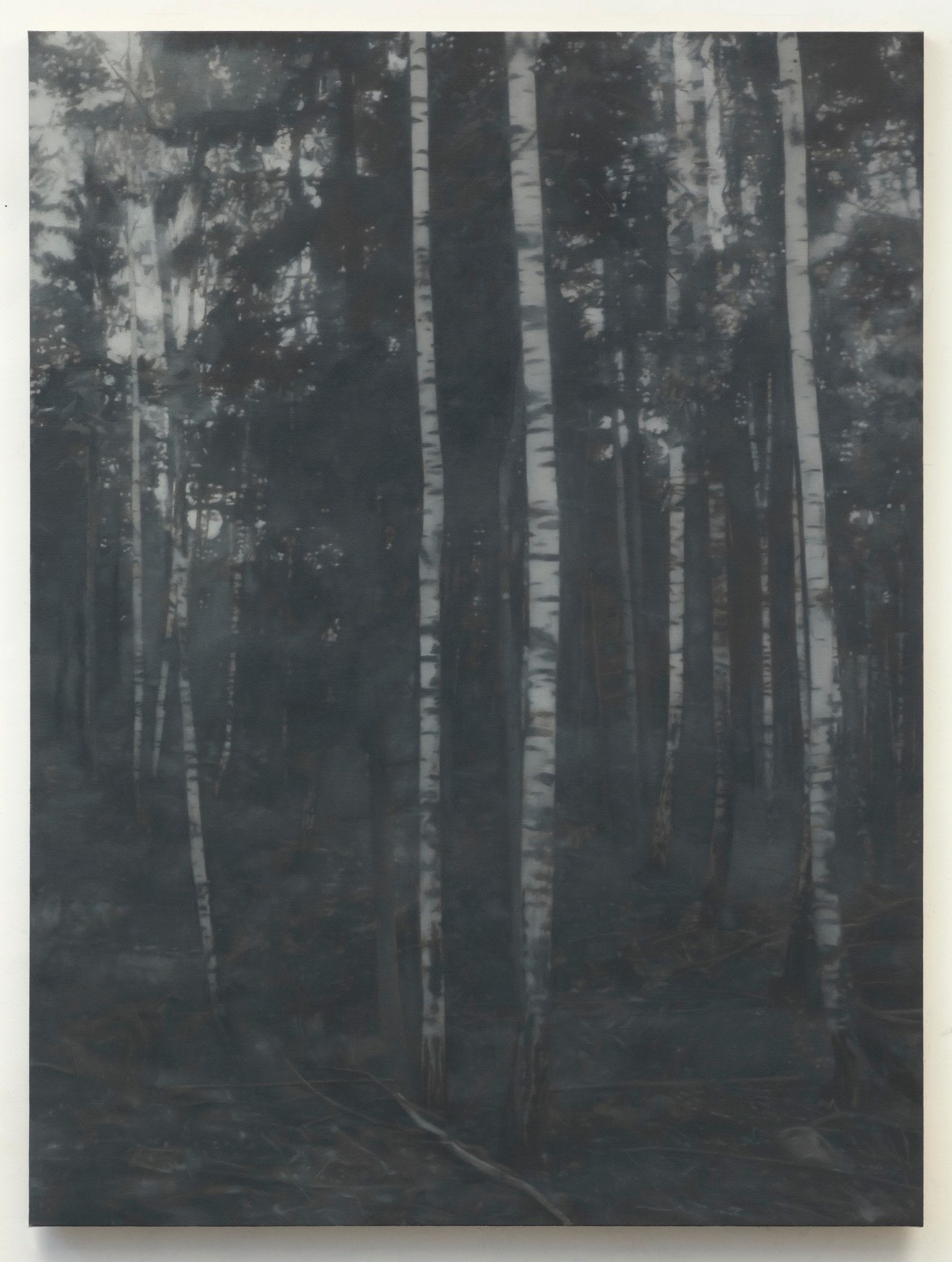 PAUL WINSTANLEY Birchwood 2 2011