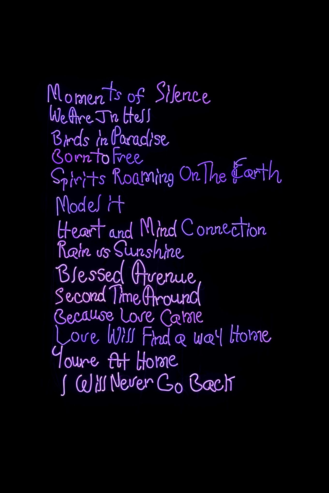 JACOLBY SATTERWHITE Birds in Paradise 2017-19