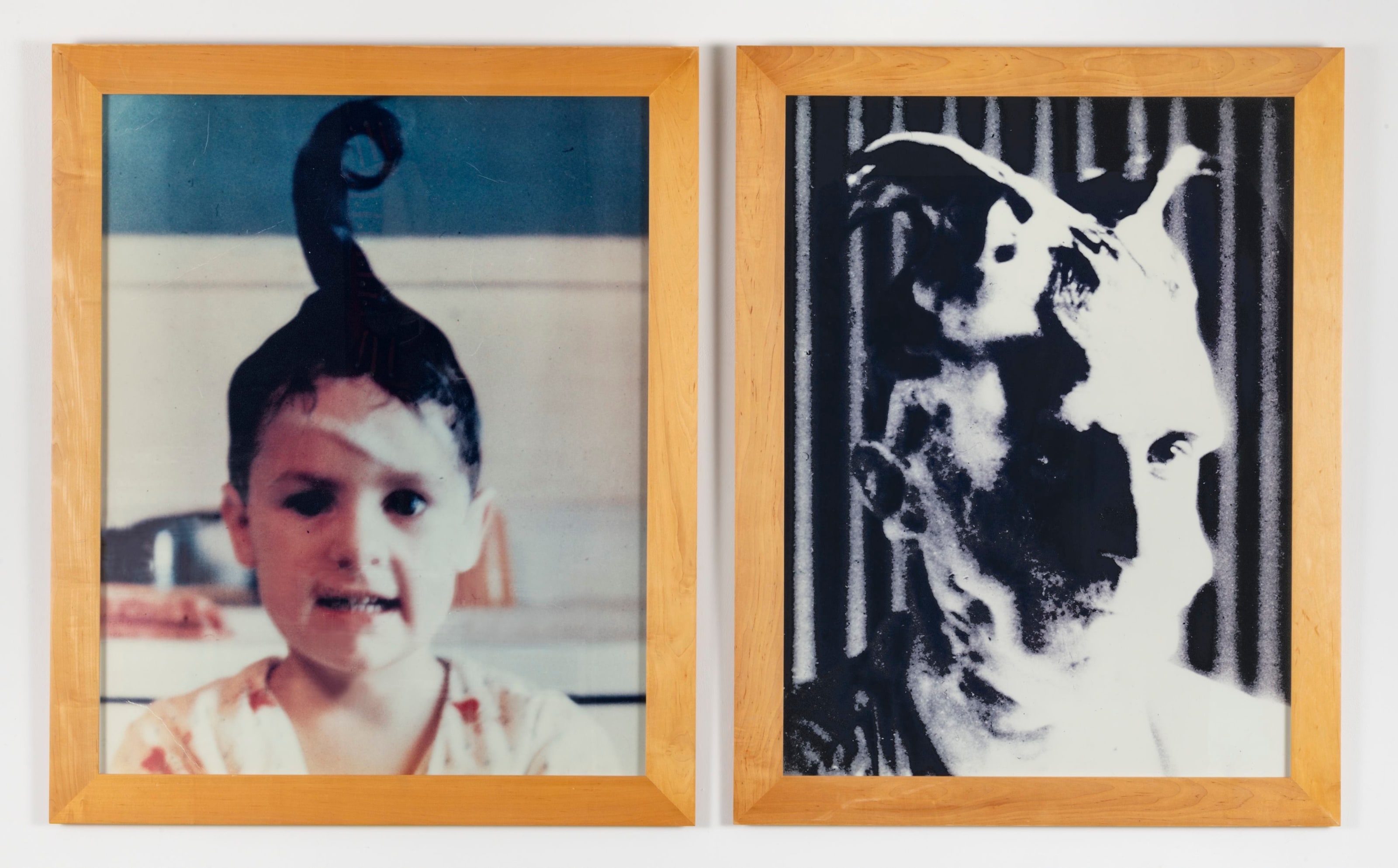 ANNETTE LEMIEUX Coincidence 1993-94