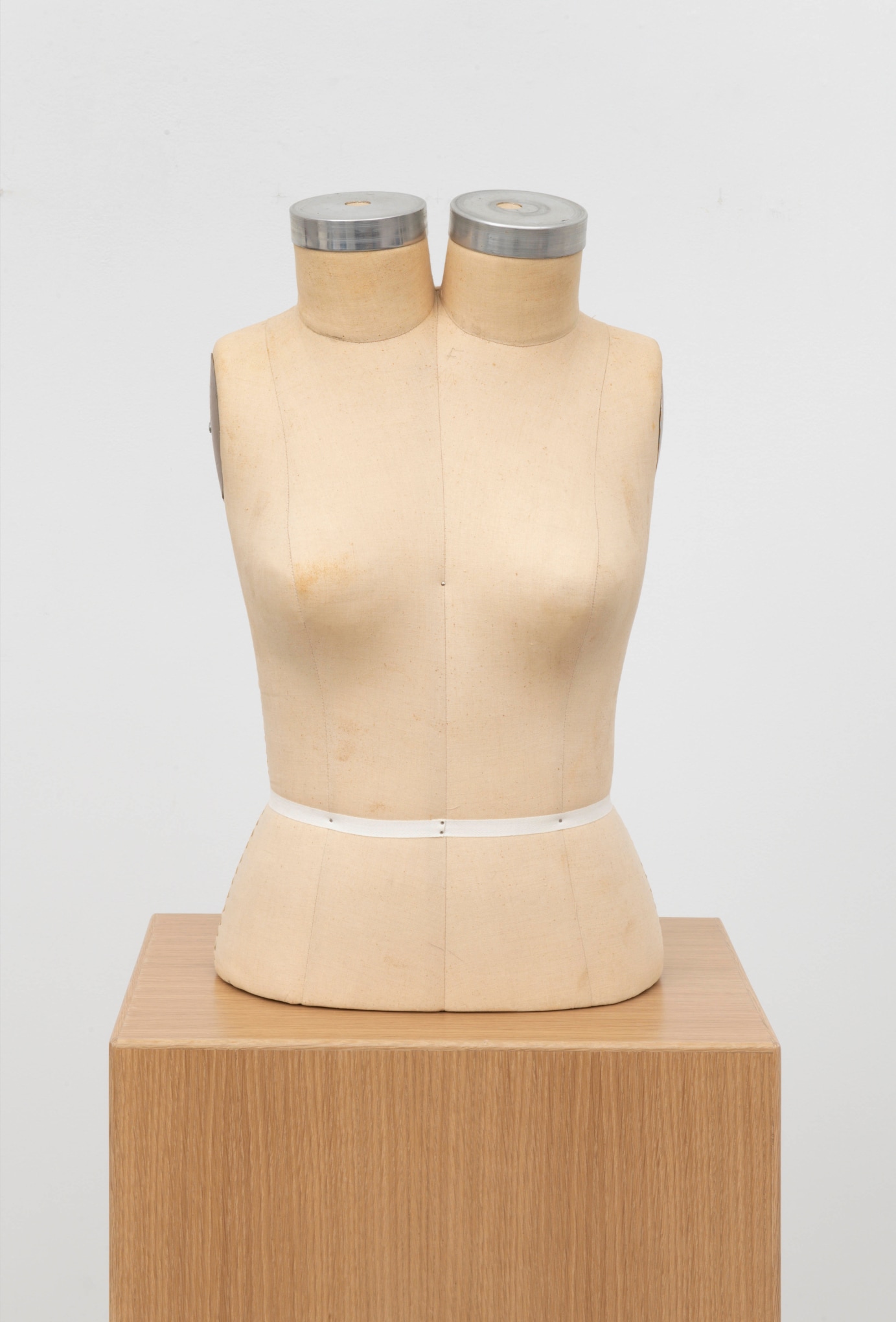 ANNETTE LEMIEUX Torso After Trockel 1991