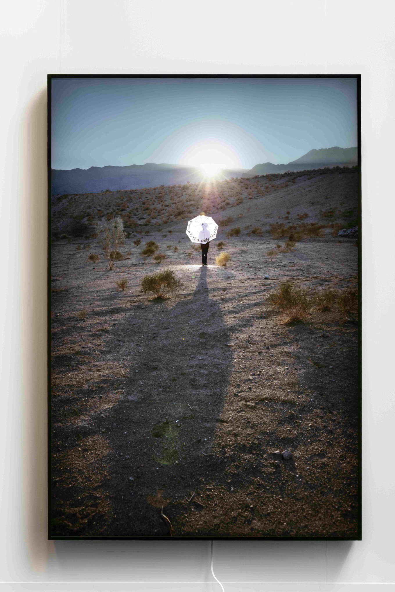 MARY KELLY Peace is the only shelter 2019