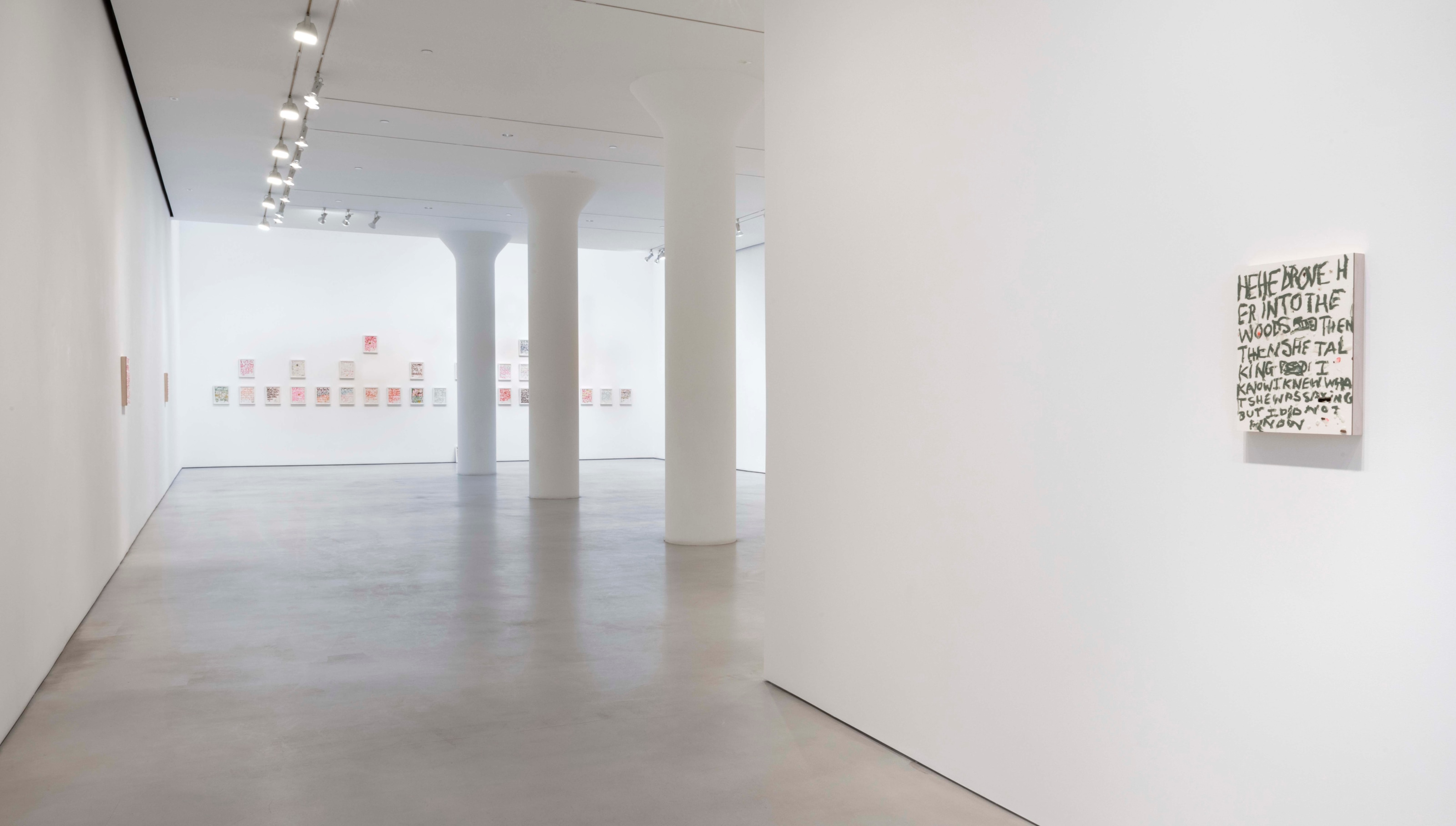 POPE.L Installation view of Four Panels at Mitchell-Innes & Nash, New York, 2021