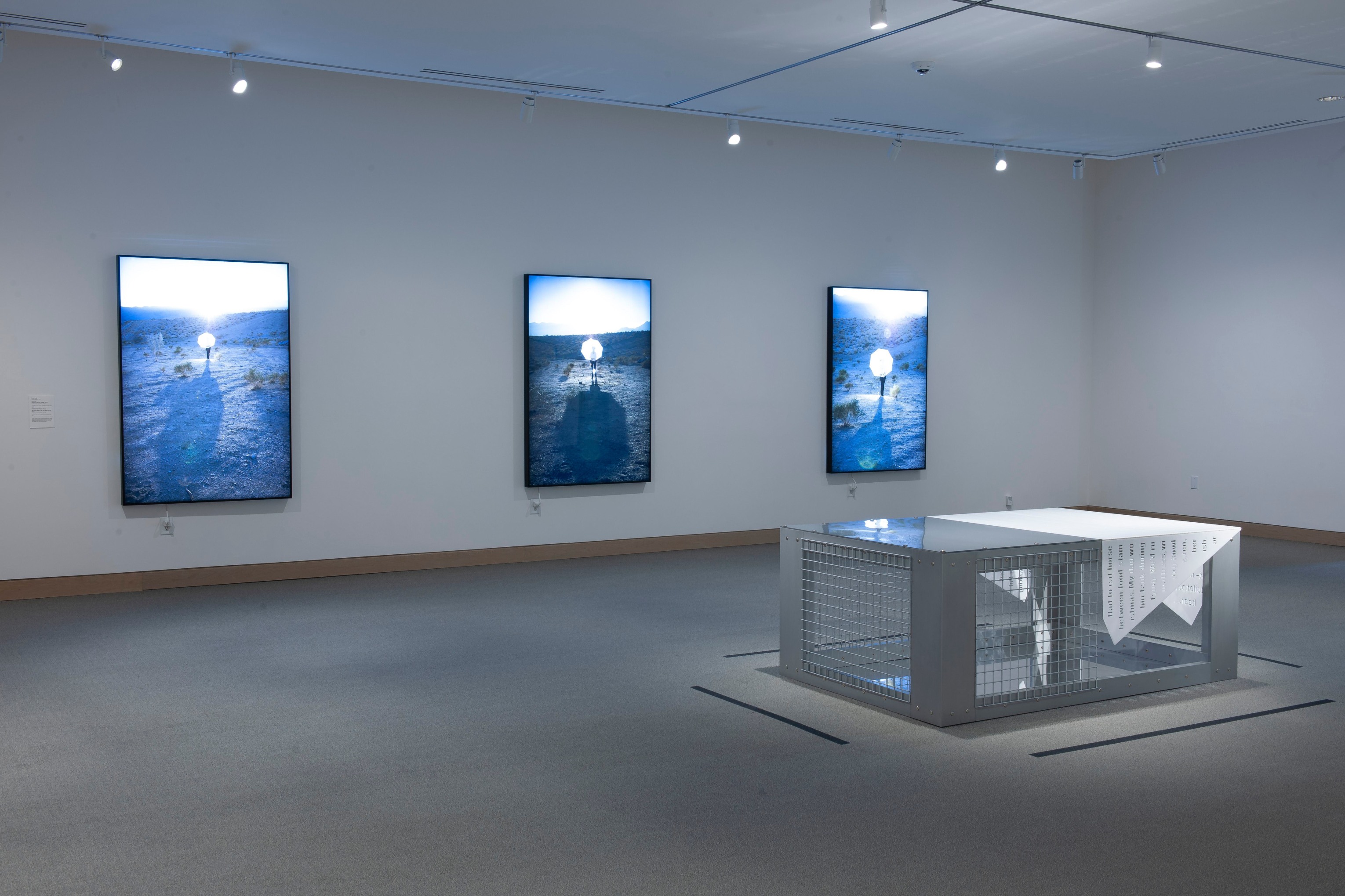 MARY KELLY ​Installation view of&nbsp;Mary Kelly: Selected Works&nbsp;at Weatherspoon Art Museum, North Carolina, 2019