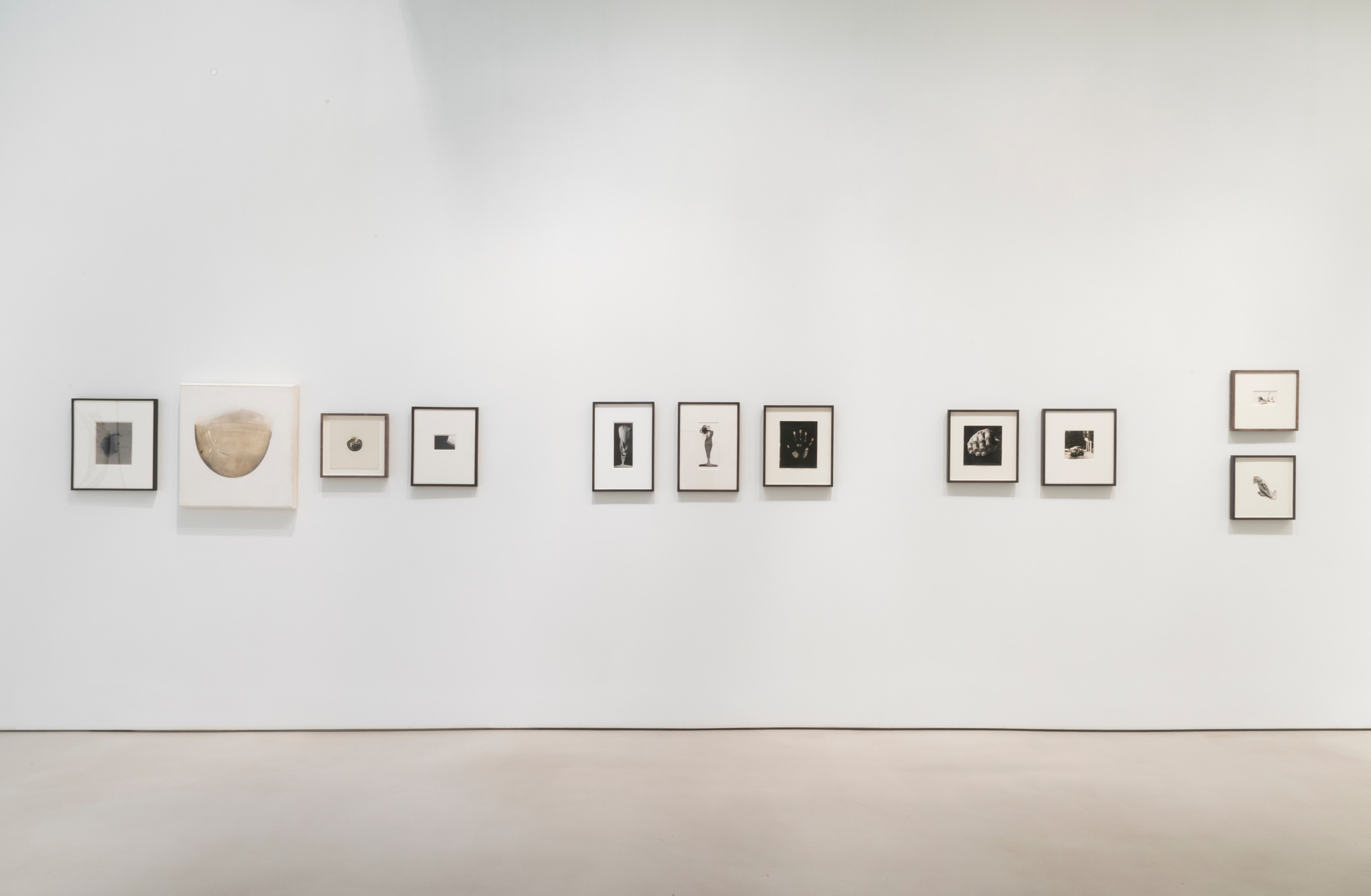 JAY DEFEO