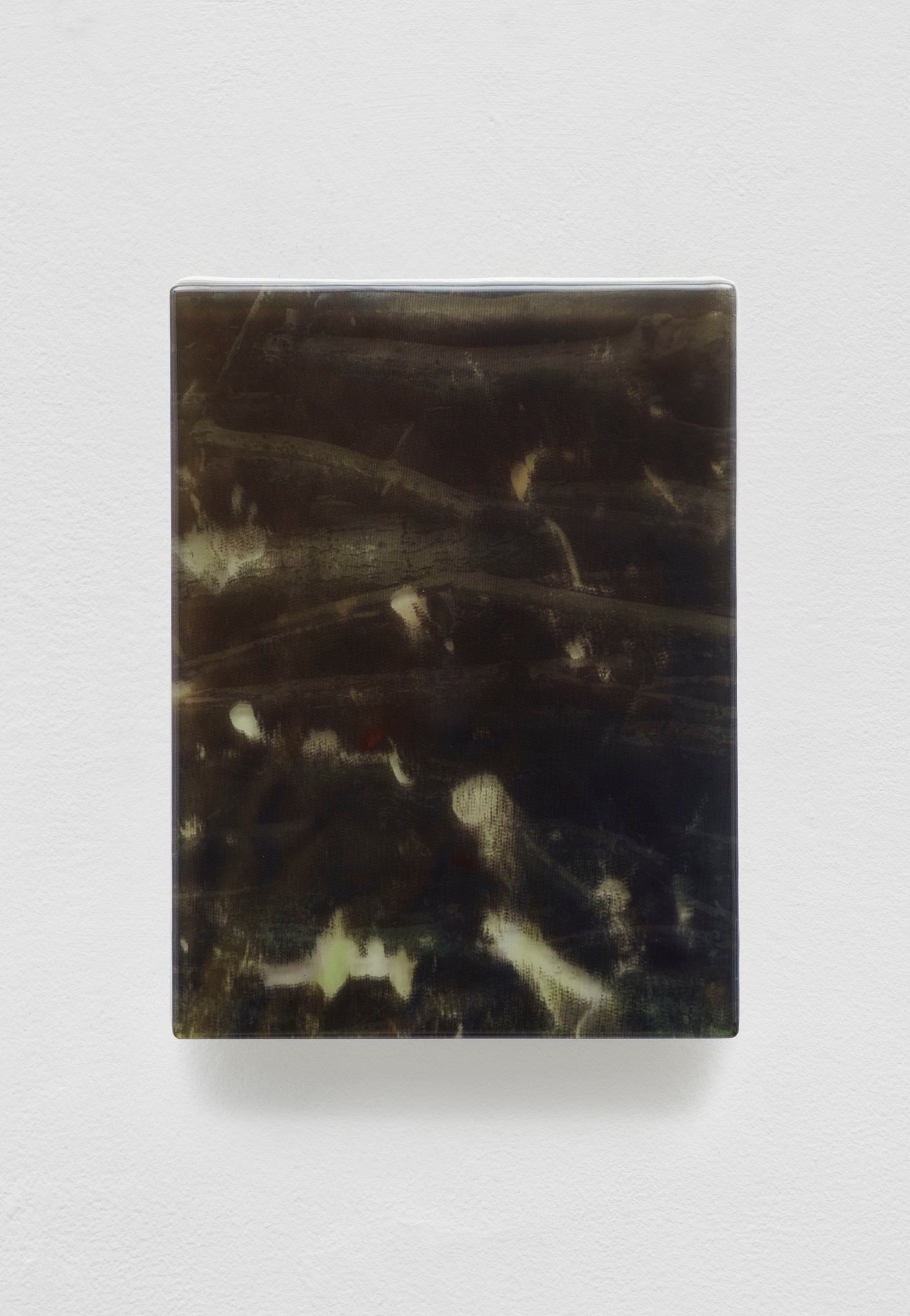 SADIE BENNING,&nbsp;Pain Thing 2,&nbsp;&nbsp;Detail, Sequence 3, Panel 9 (YV), 2019, wood, photographic transparencies, aqua resin and resin, 53 panels/16 sequences, each: 9 3&frasl;4 by 7 1&frasl;4 in. 24.8 by 18.4 cm.