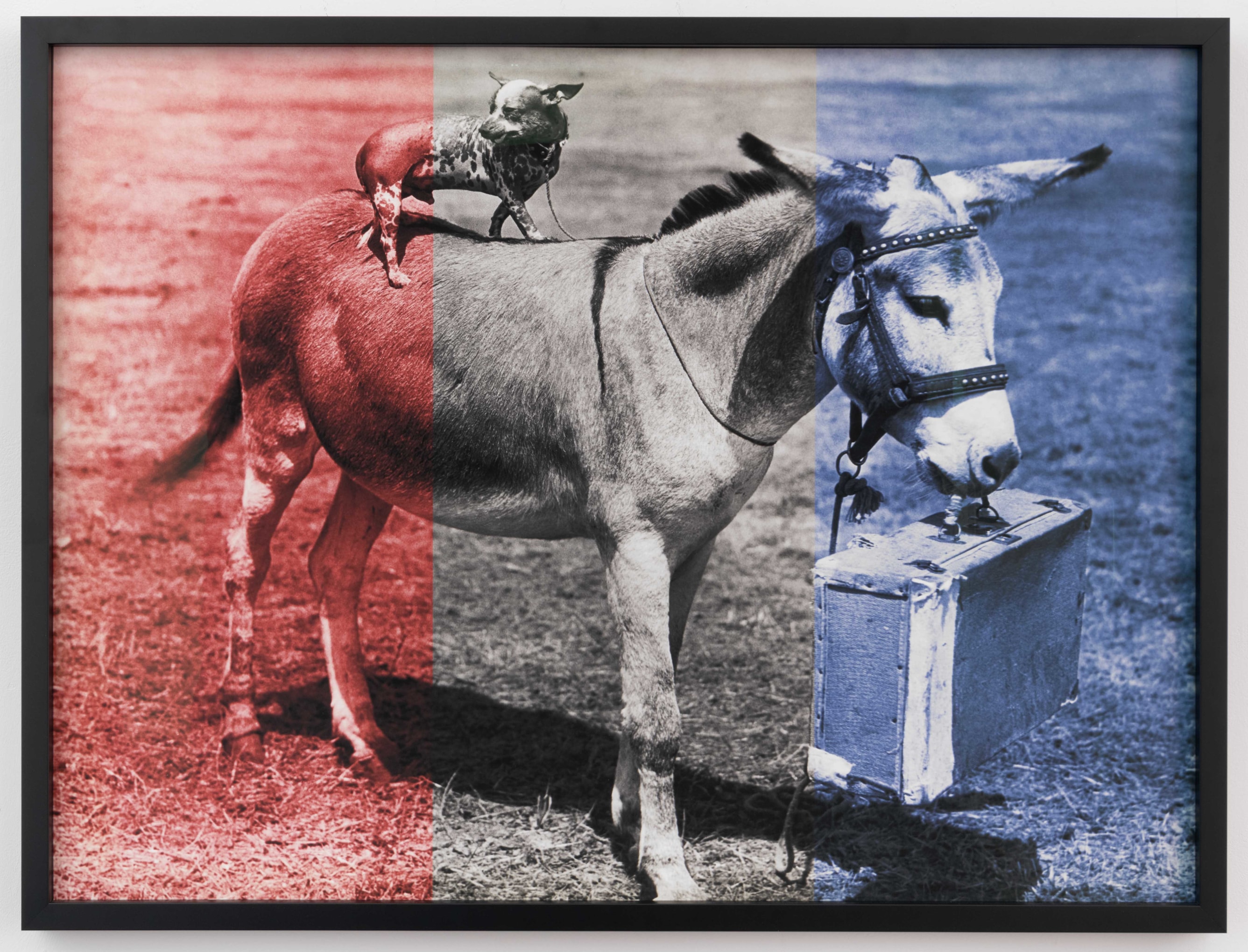 ANNETTE LEMIEUX  Travel Tips, North 2022