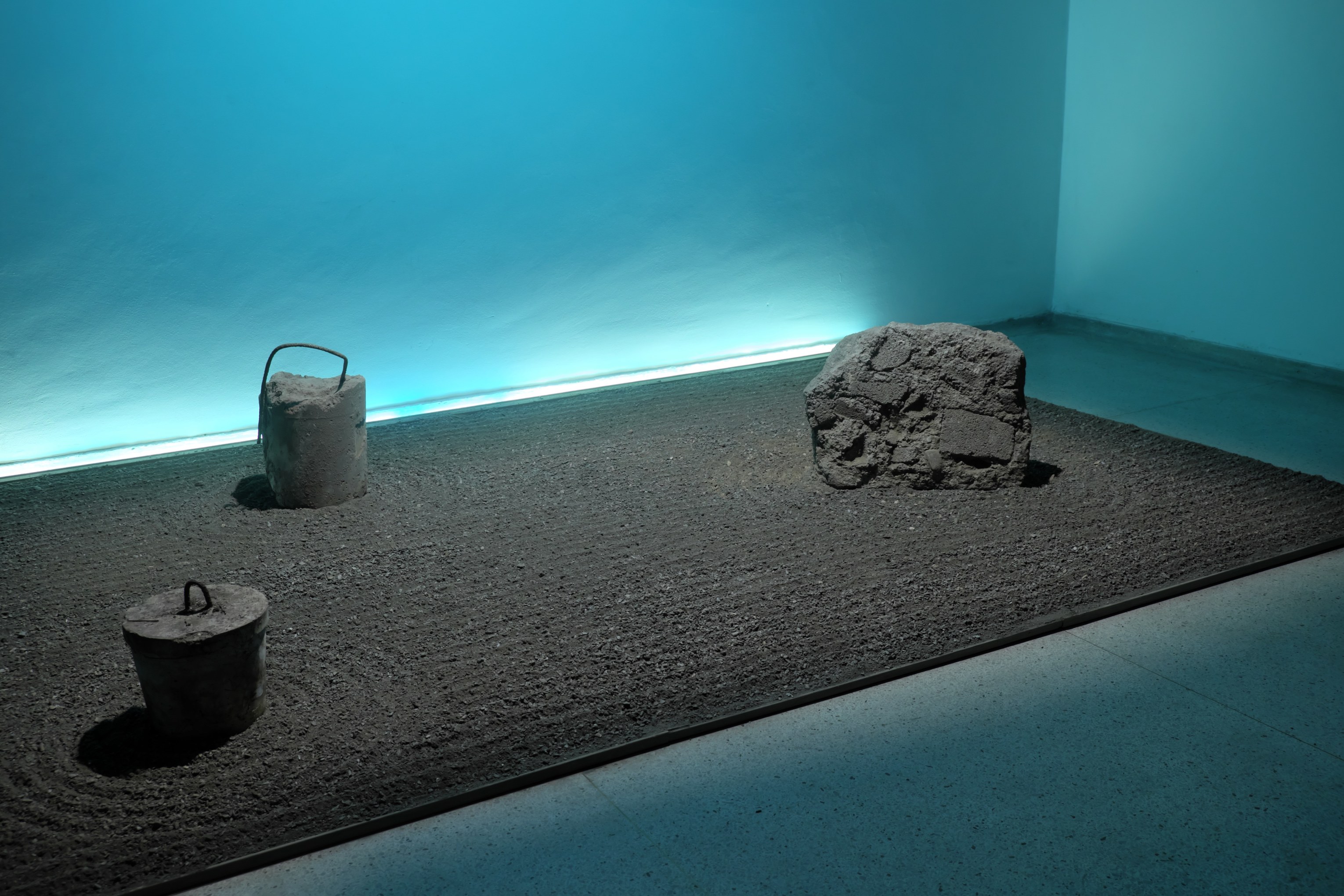Annette Lemieux, Installation view of Dry Garden, 2021-22, in No Stars at the Museum de Bellas Artes in Caracas, Venezuela, 2022