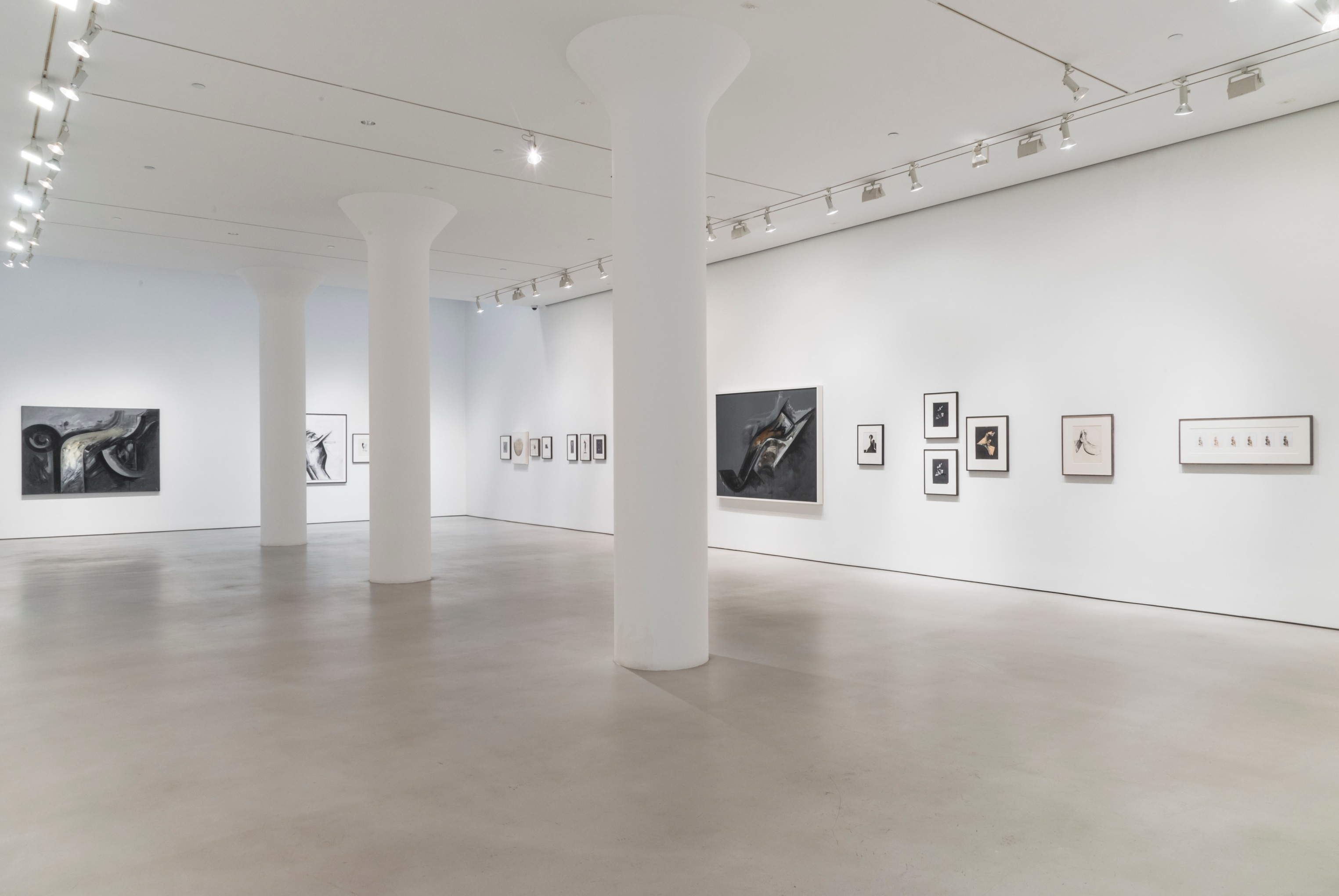 JAY DEFEO