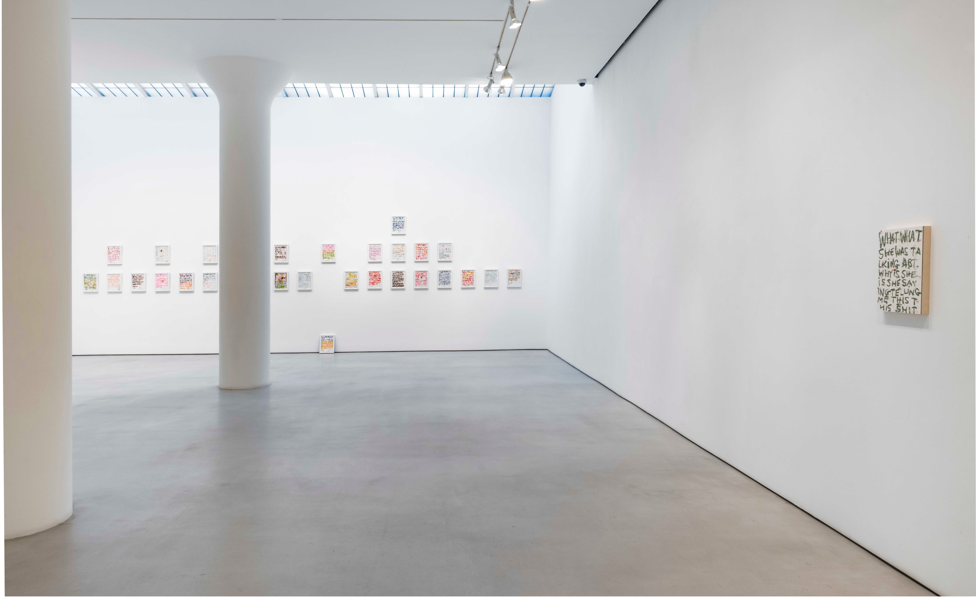 POPE.L Installation view of Four Panels at Mitchell-Innes & Nash, New York, 2021