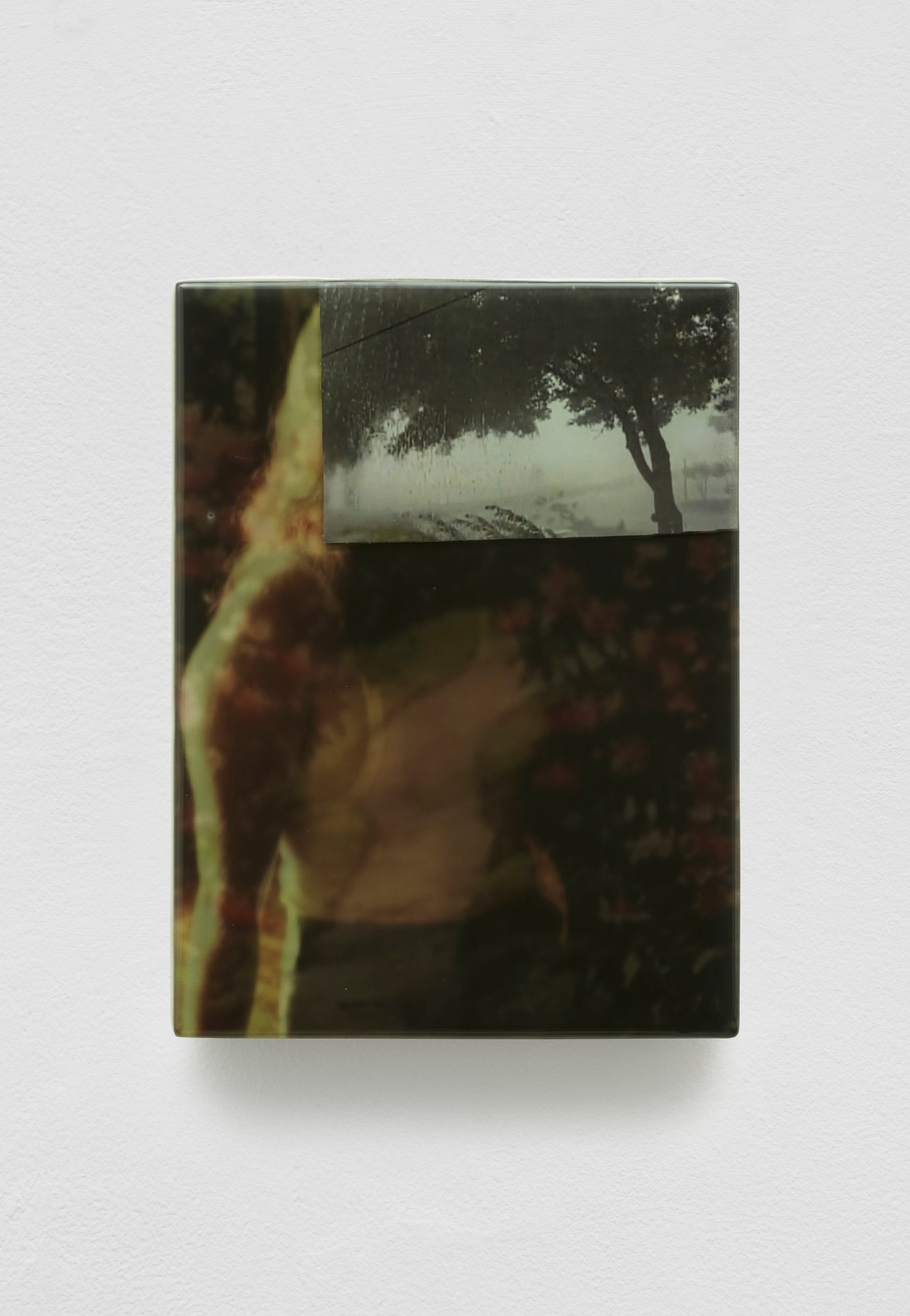 SADIE BENNING,&nbsp;Pain Thing 2,&nbsp;&nbsp;Detail, Sequence 11, Panel 46 (Dolly), 2019, wood, photographic transparencies, aqua resin and resin, 53 panels/16 sequences, each: 9 3&frasl;4 by 7 1&frasl;4 in. 24.8 by 18.4 cm.