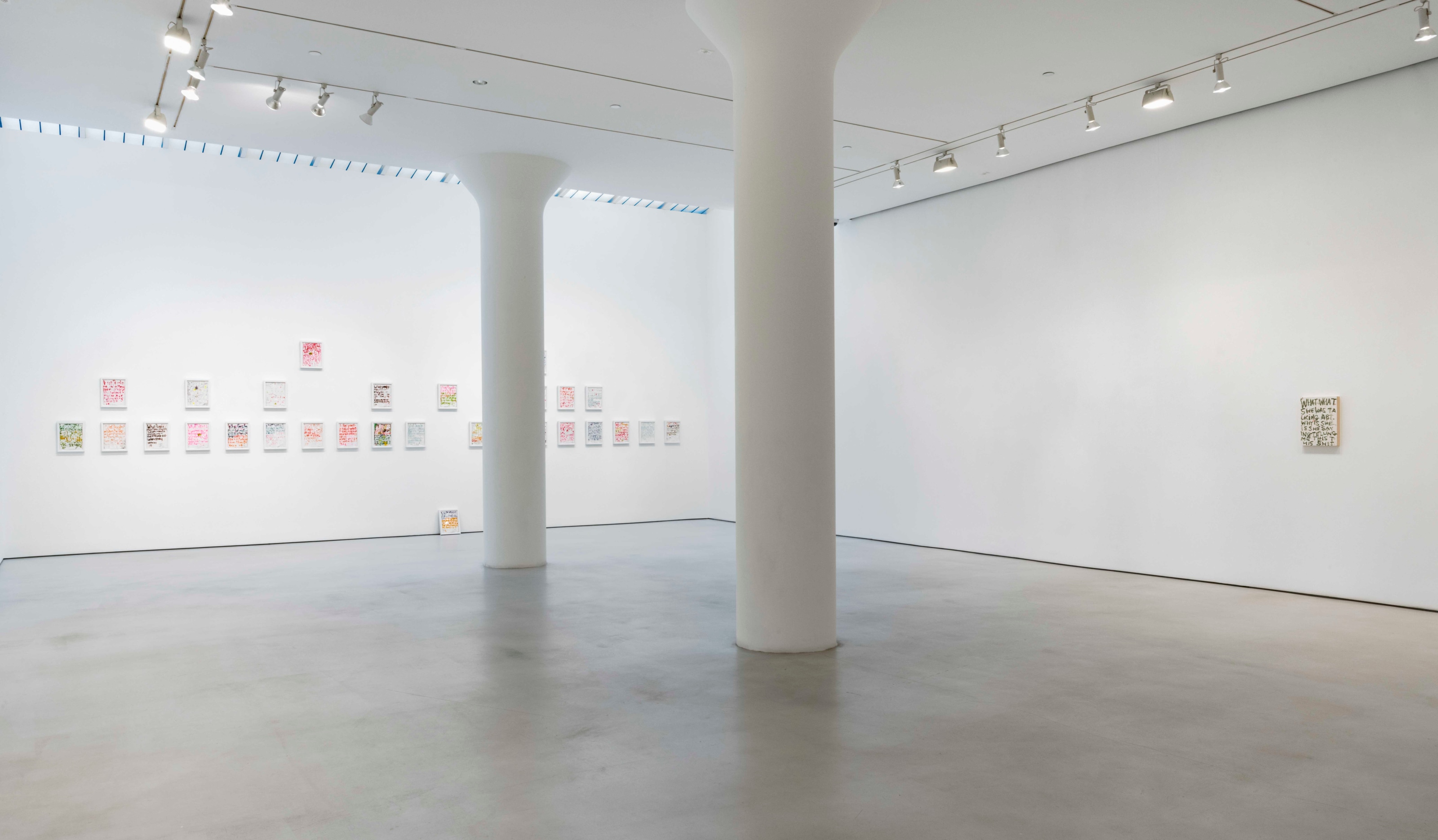 POPE.L Installation view of Four Panels at Mitchell-Innes & Nash, New York, 2021