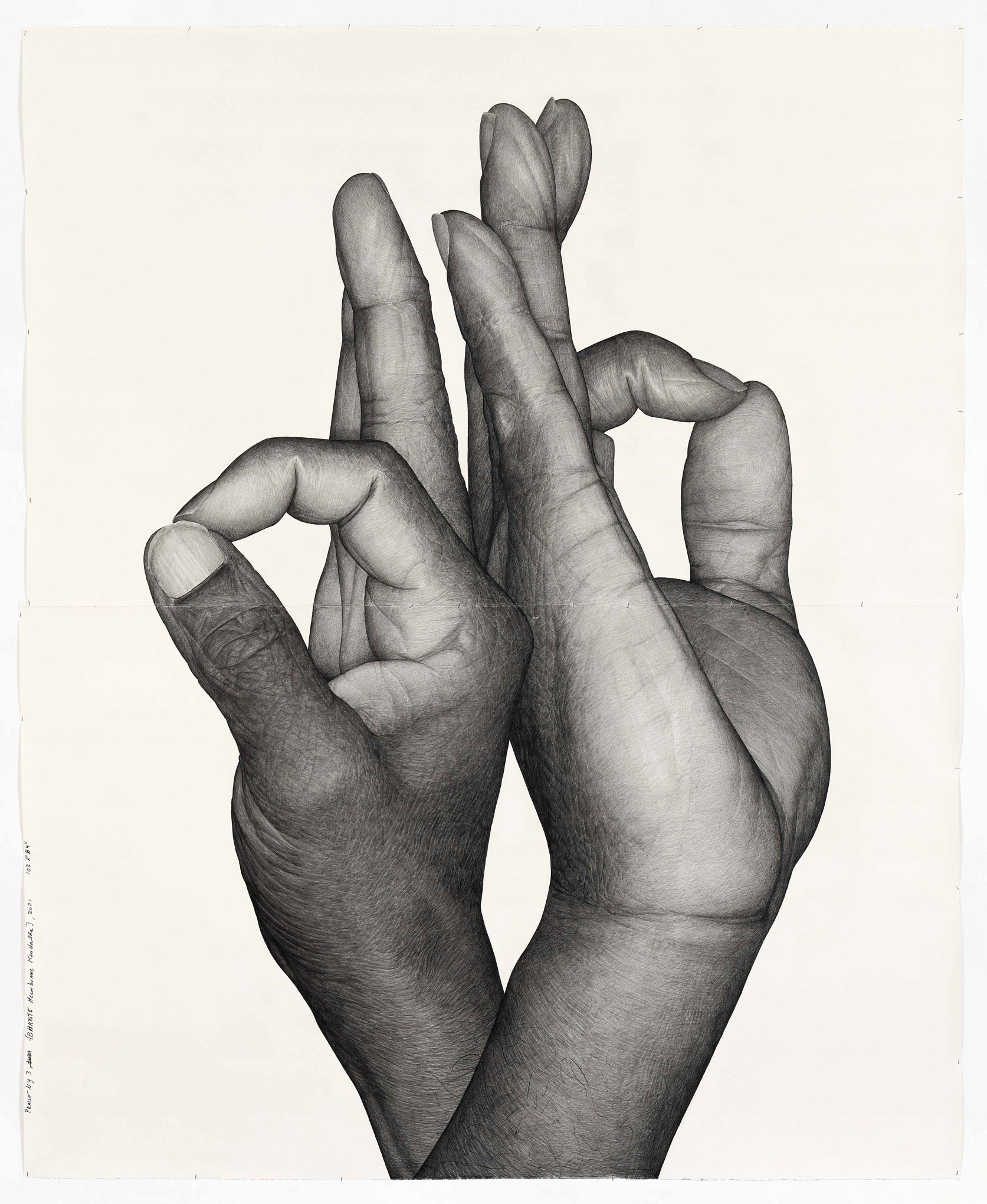 KARL HAENDEL  Praise New York 3 (Bhante Heenbunne Kondañña) 2021