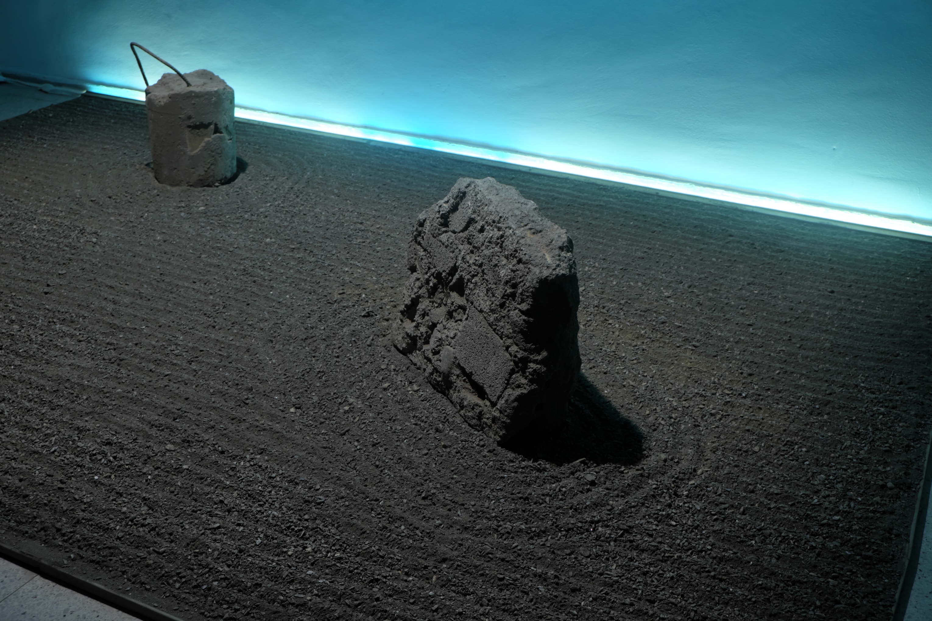 Annette Lemieux, Installation view of Dry Garden, 2021-22, in No Stars at the Museum de Bellas Artes in Caracas, Venezuela, 2022